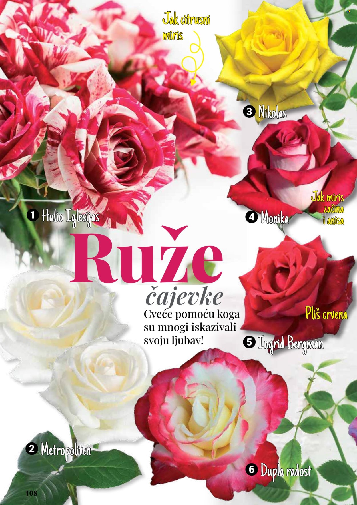 Flora Ekspres katalog. Stranica 108