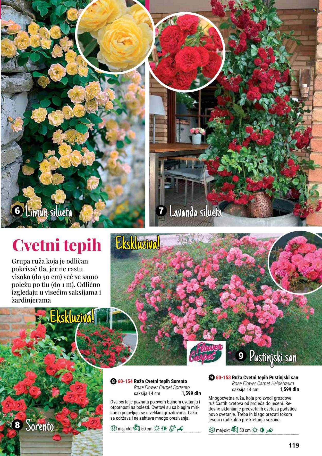 Flora Ekspres katalog. Stranica 119