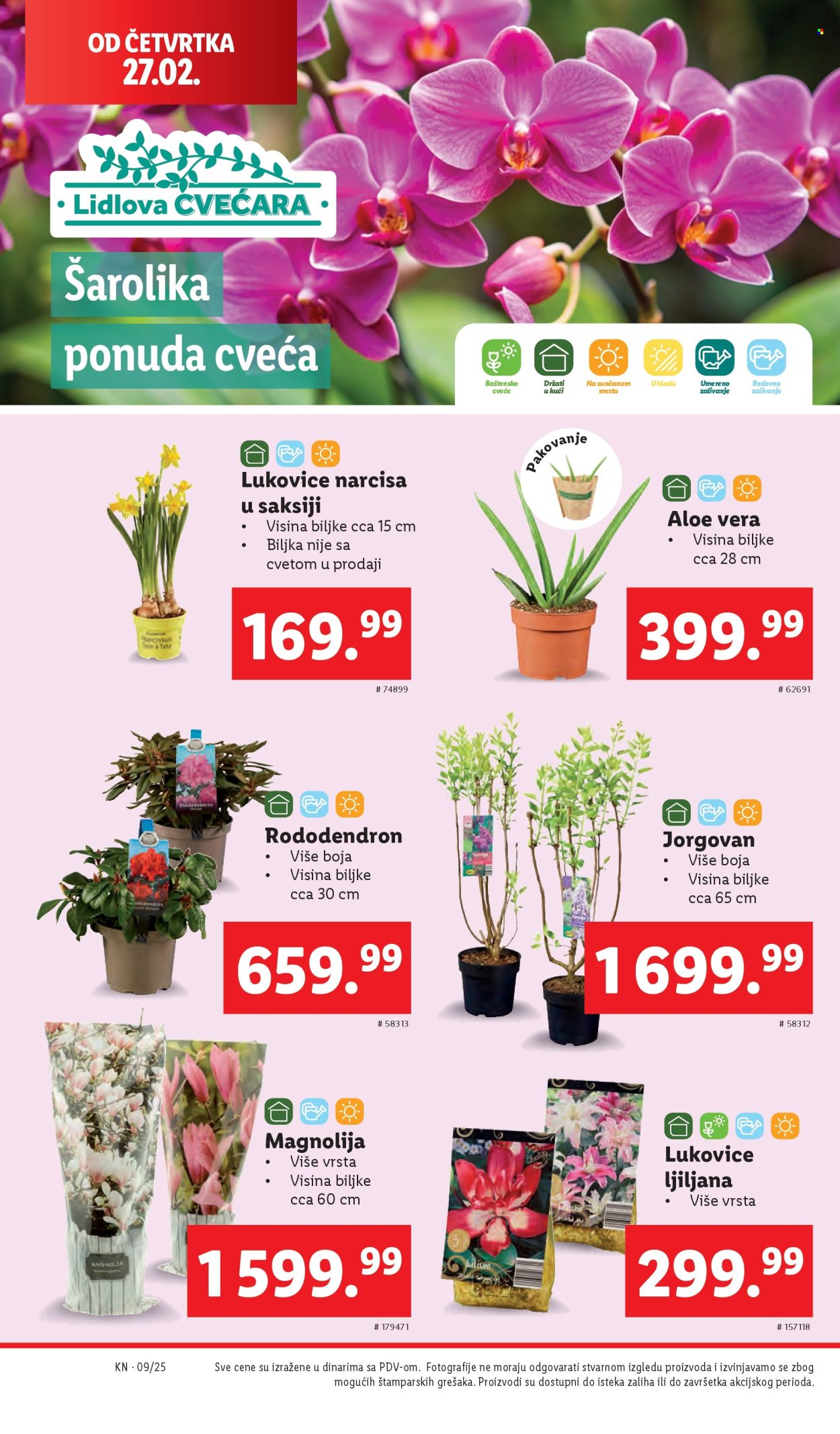 Lidl katalog - 27.02.2025 - 05.03.2025. Stranica 24