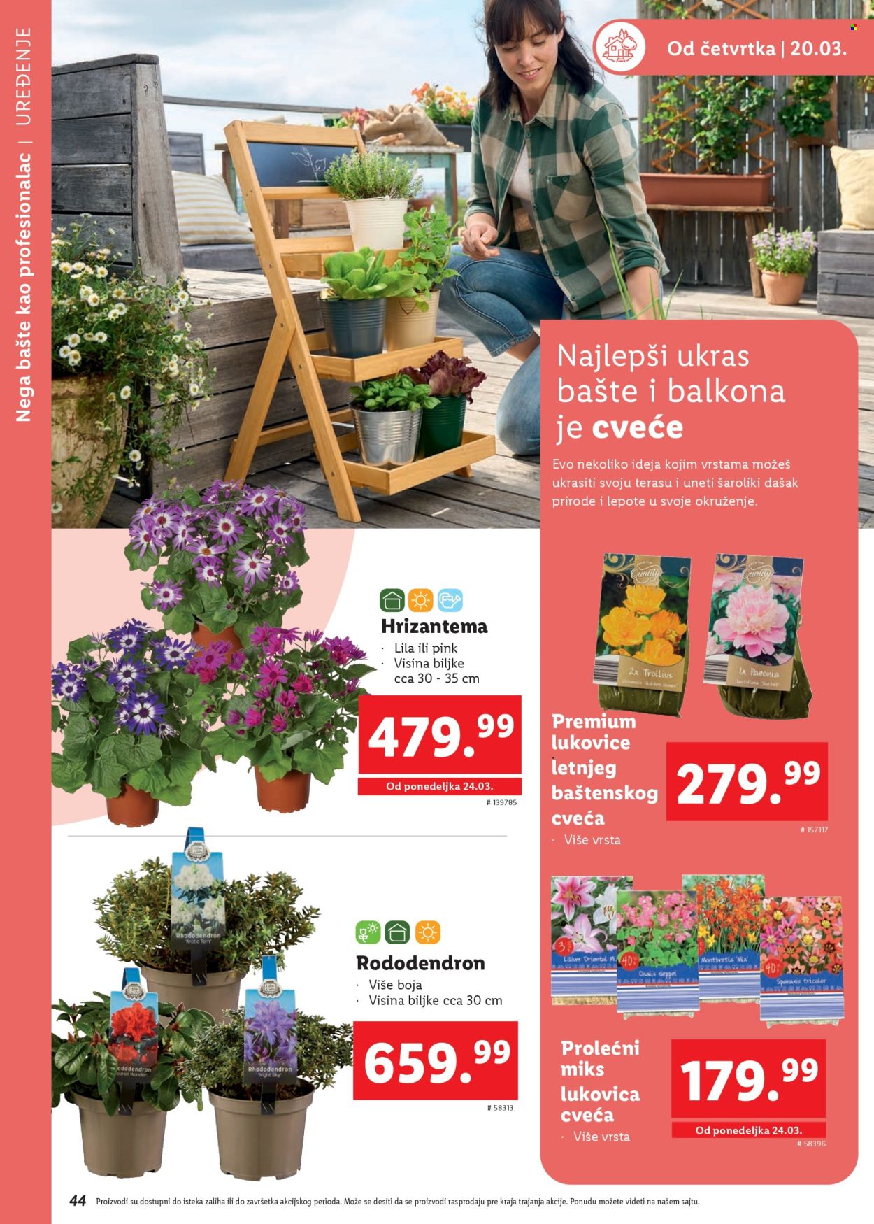 Lidl katalog. Stranica 46