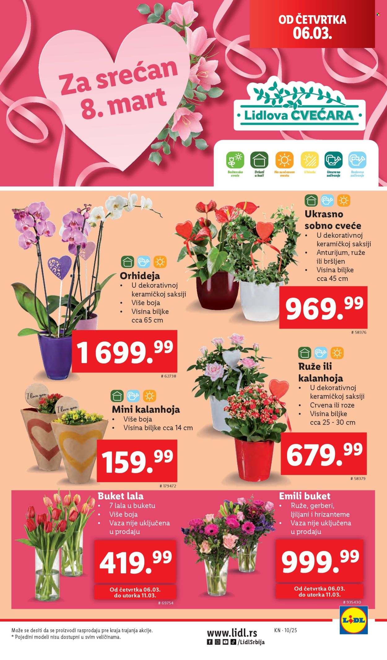 Lidl katalog - 06.03.2025 - 12.03.2025. Stranica 25