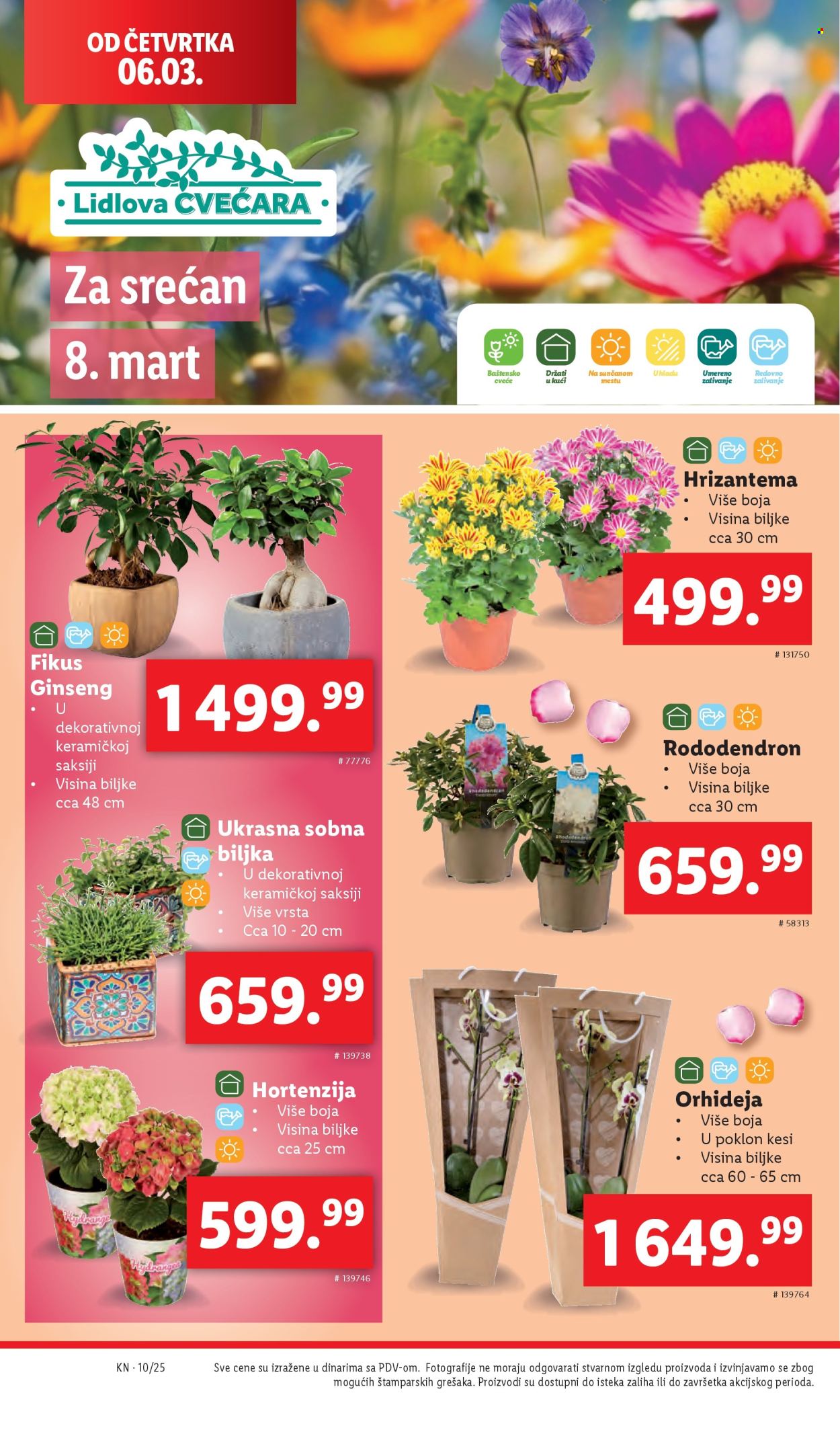 Lidl katalog - 06.03.2025 - 12.03.2025. Stranica 26