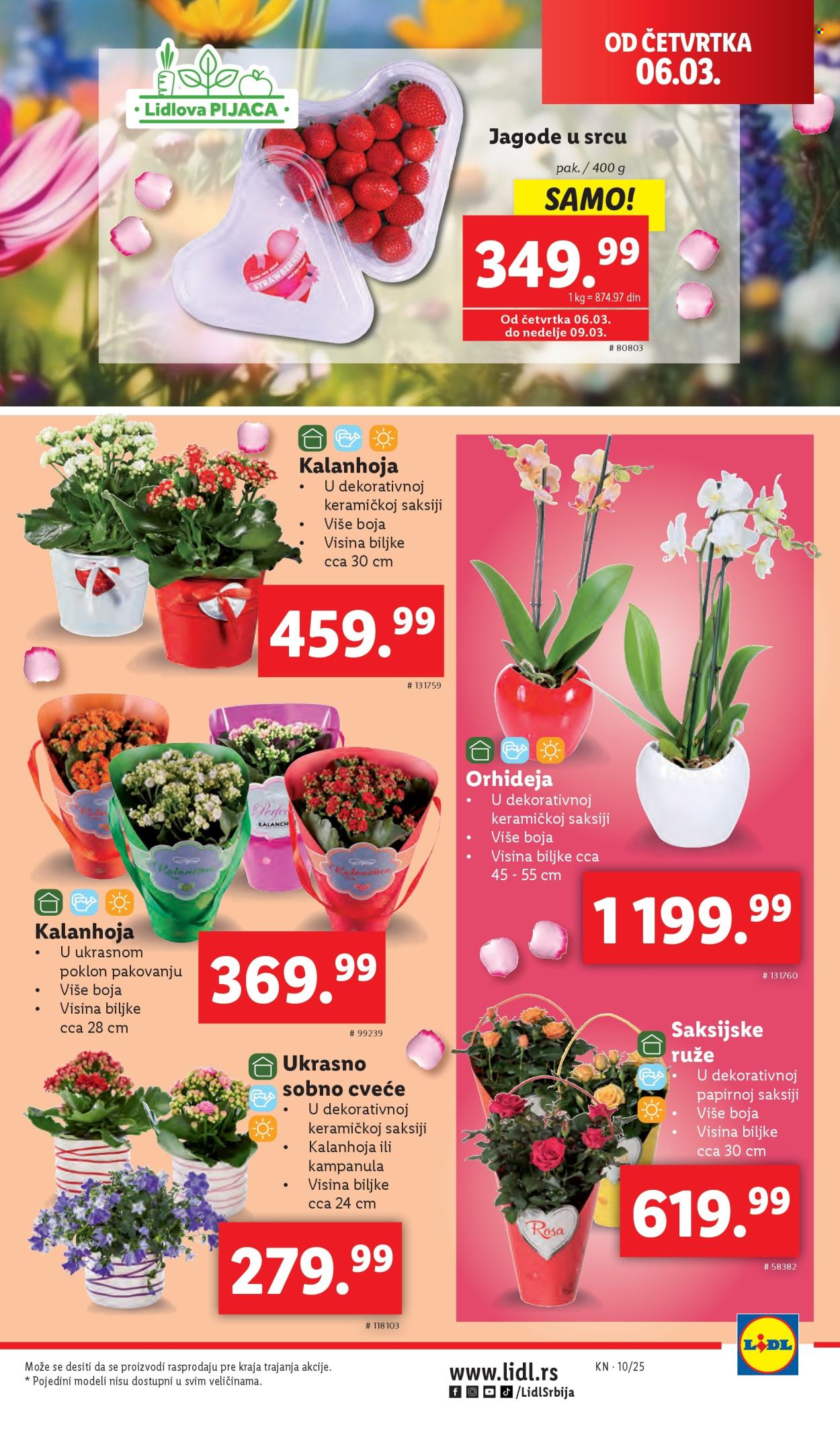 Lidl katalog - 06.03.2025 - 12.03.2025. Stranica 27