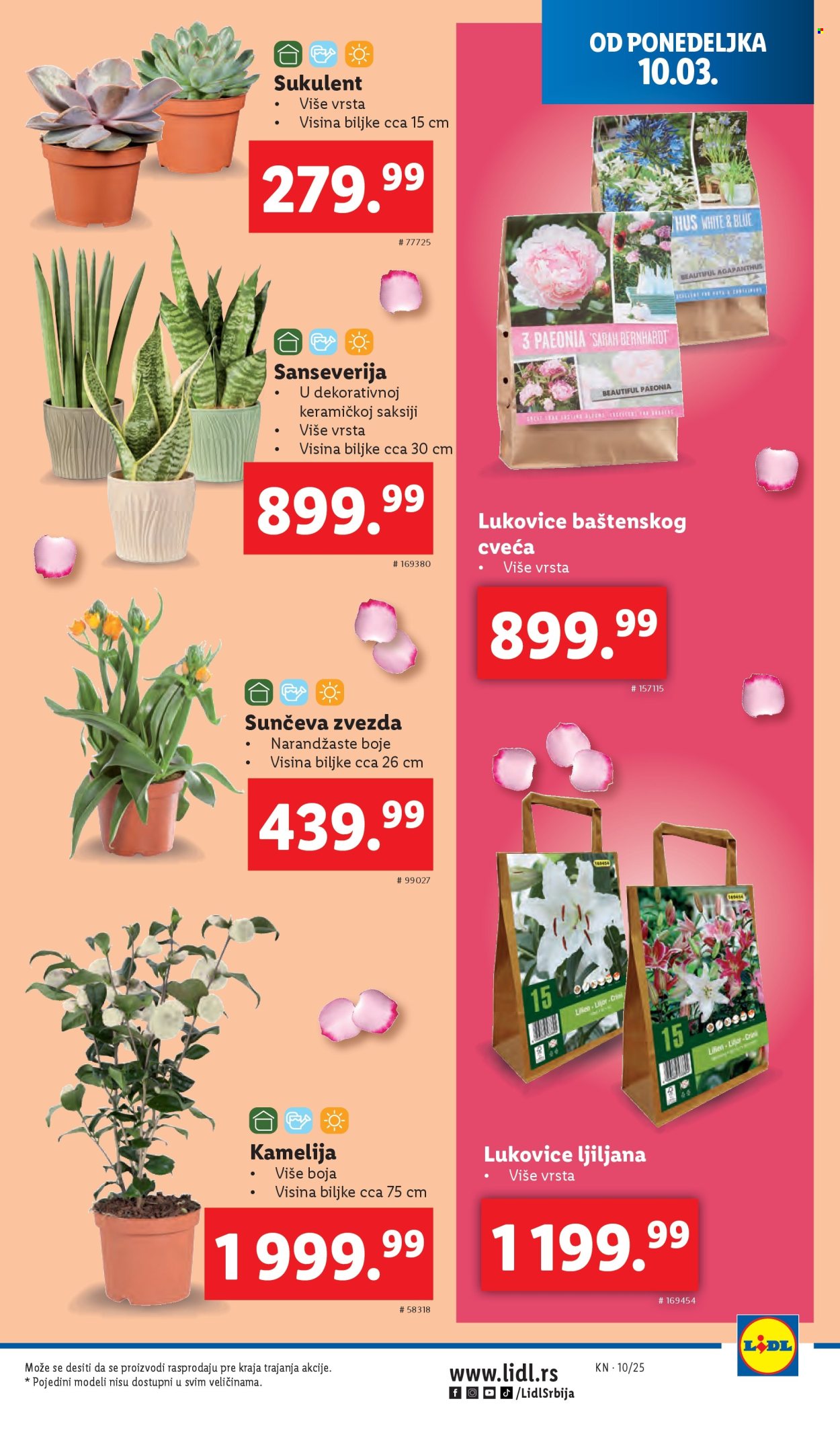 Lidl katalog - 06.03.2025 - 12.03.2025. Stranica 29