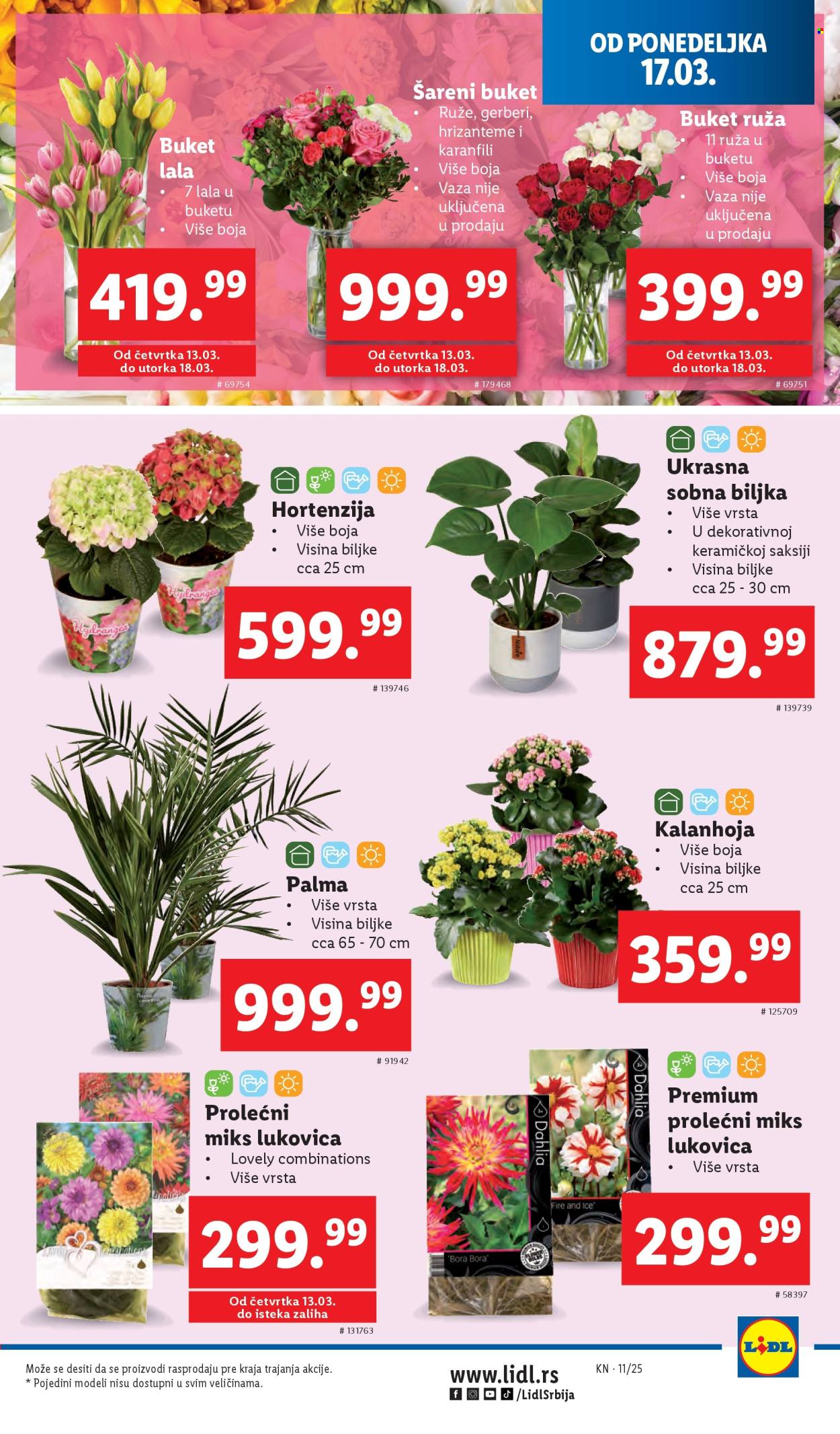 Lidl katalog - 13.03.2025 - 19.03.2025. Stranica 31