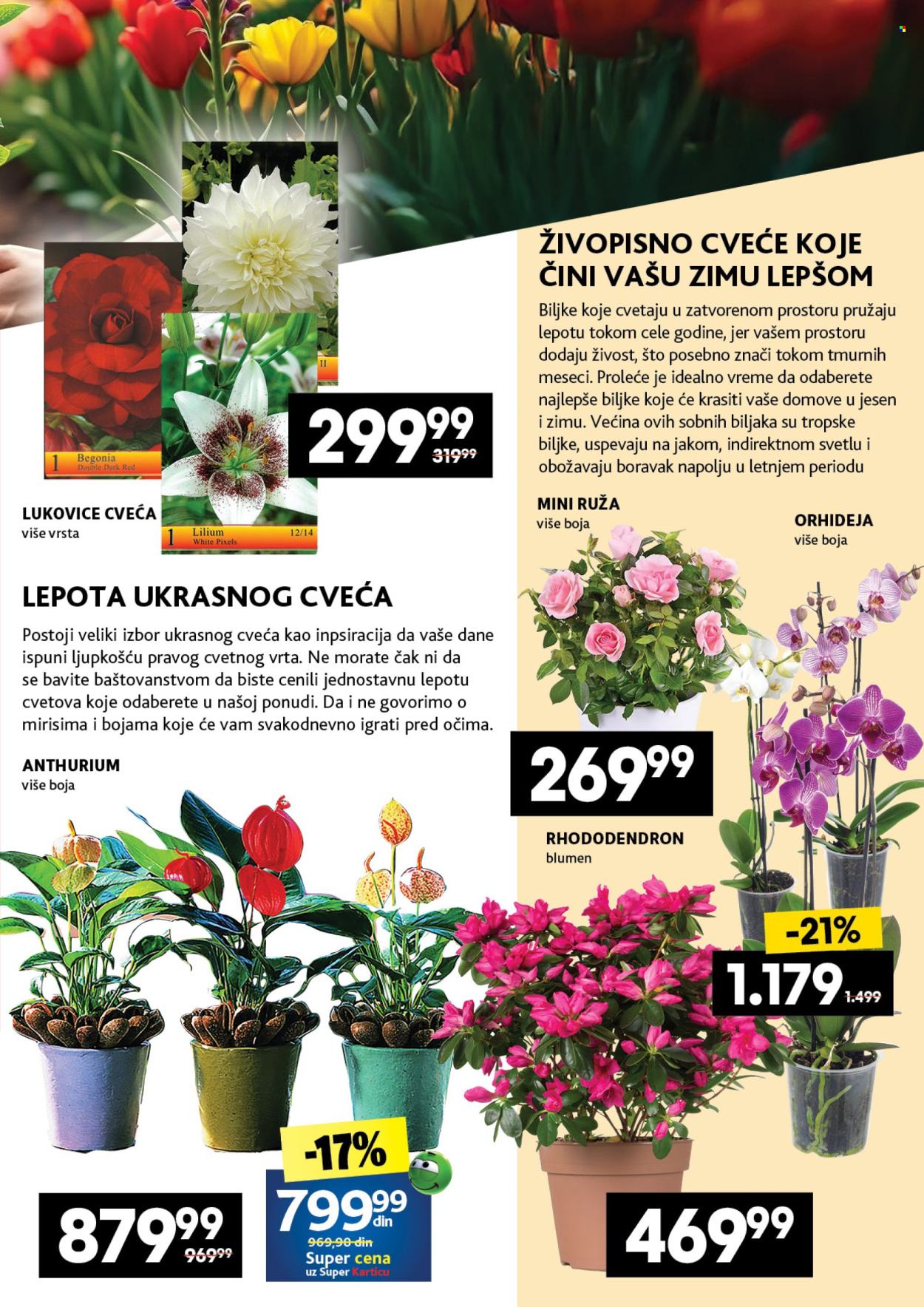 Mercator Centar katalog - 13.03.2025 - 19.03.2025. Stranica 45