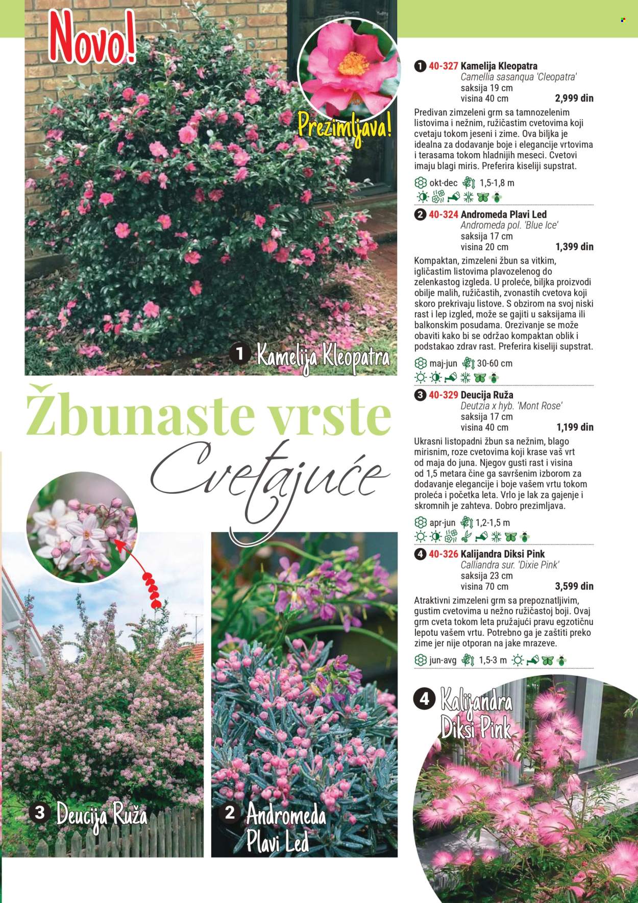 Flora Ekspres katalog. Stranica 3