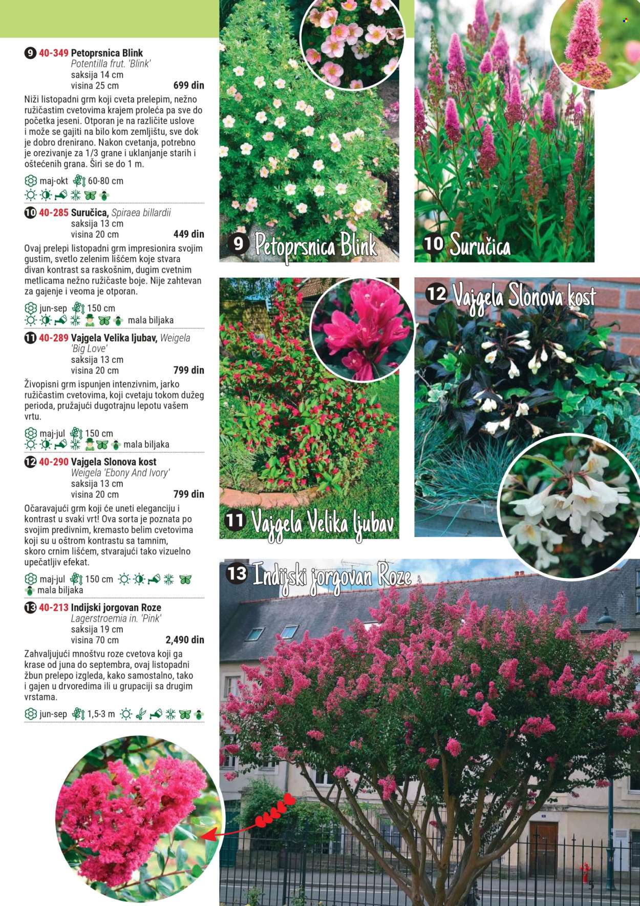 Flora Ekspres katalog. Stranica 5