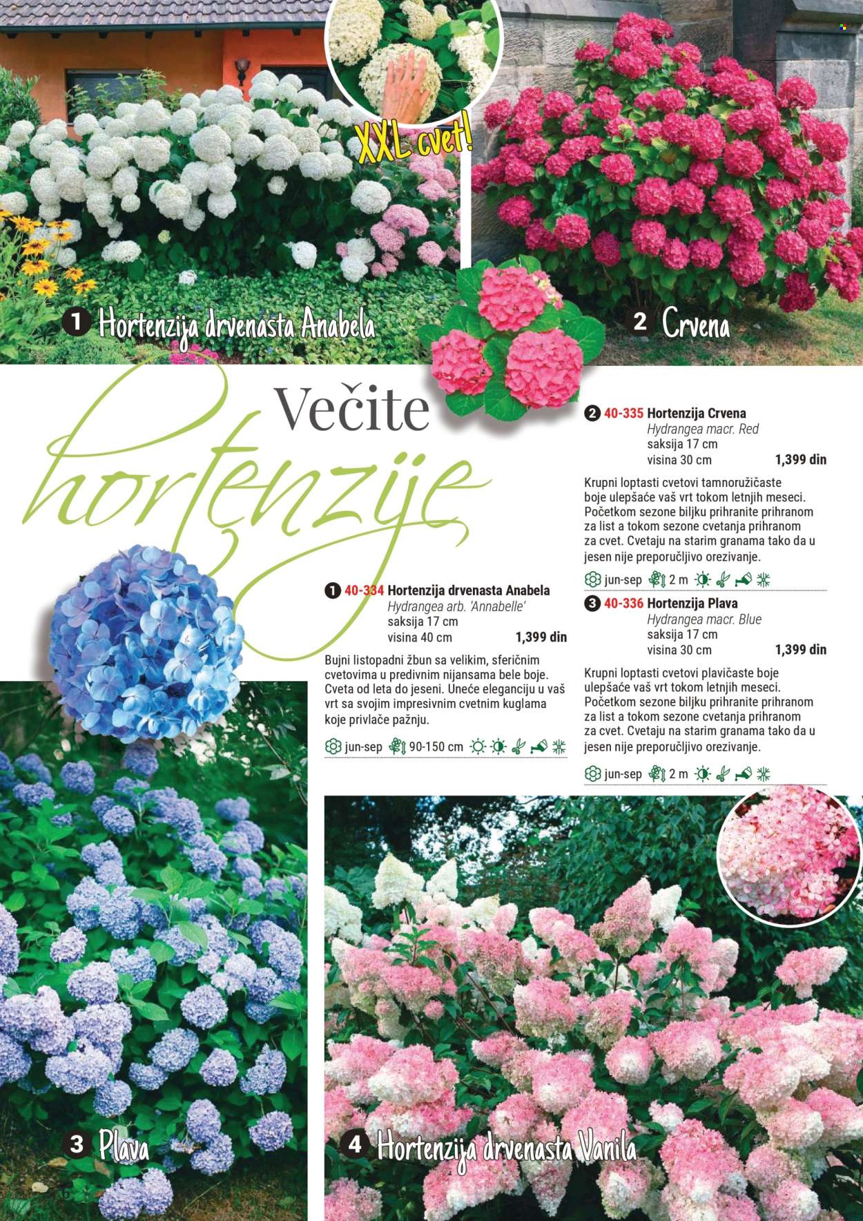 Flora Ekspres katalog. Stranica 6