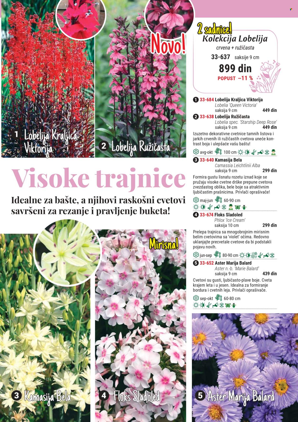Flora Ekspres katalog. Stranica 31