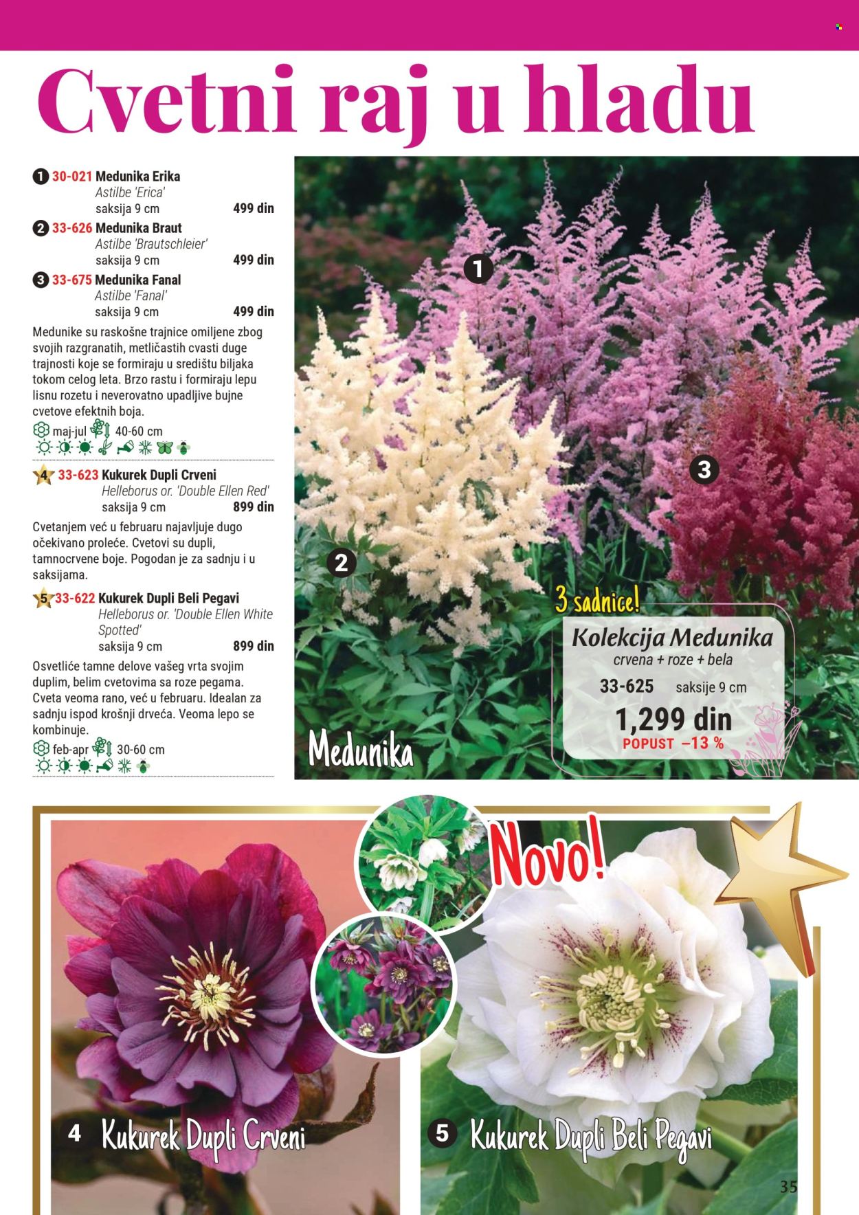 Flora Ekspres katalog. Stranica 35