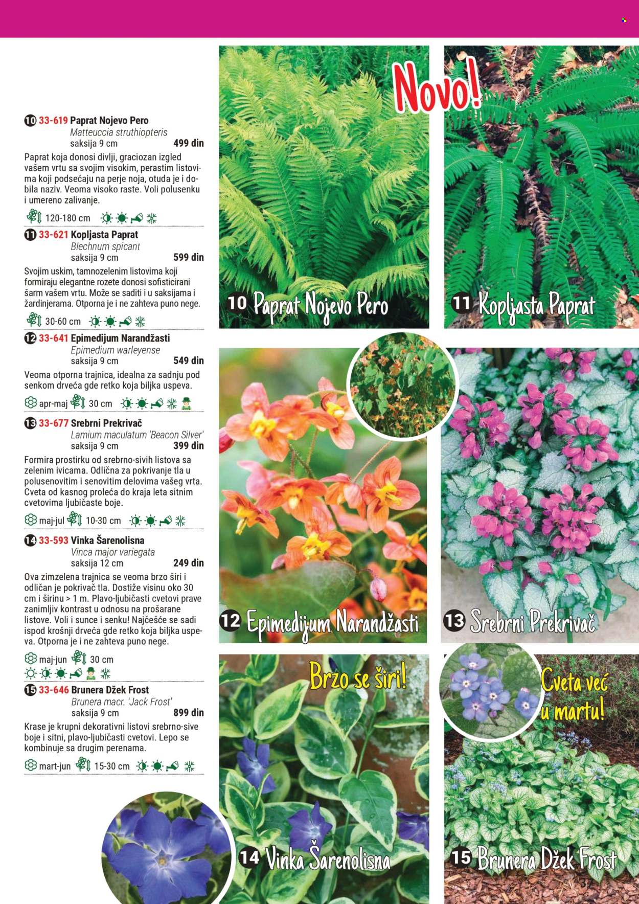 Flora Ekspres katalog. Stranica 37