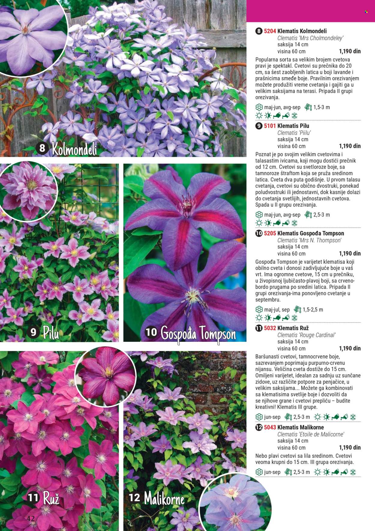 Flora Ekspres katalog. Stranica 42