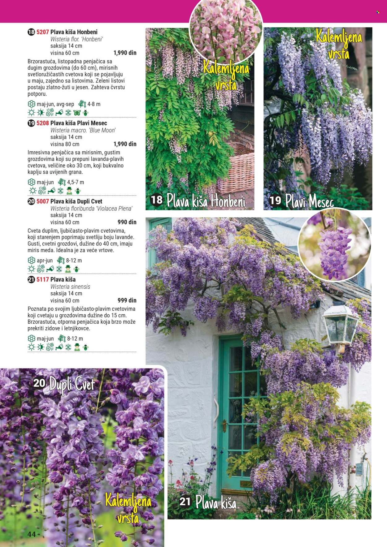 Flora Ekspres katalog. Stranica 44
