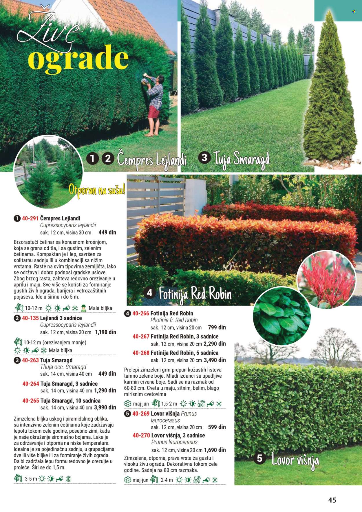 Flora Ekspres katalog. Stranica 45