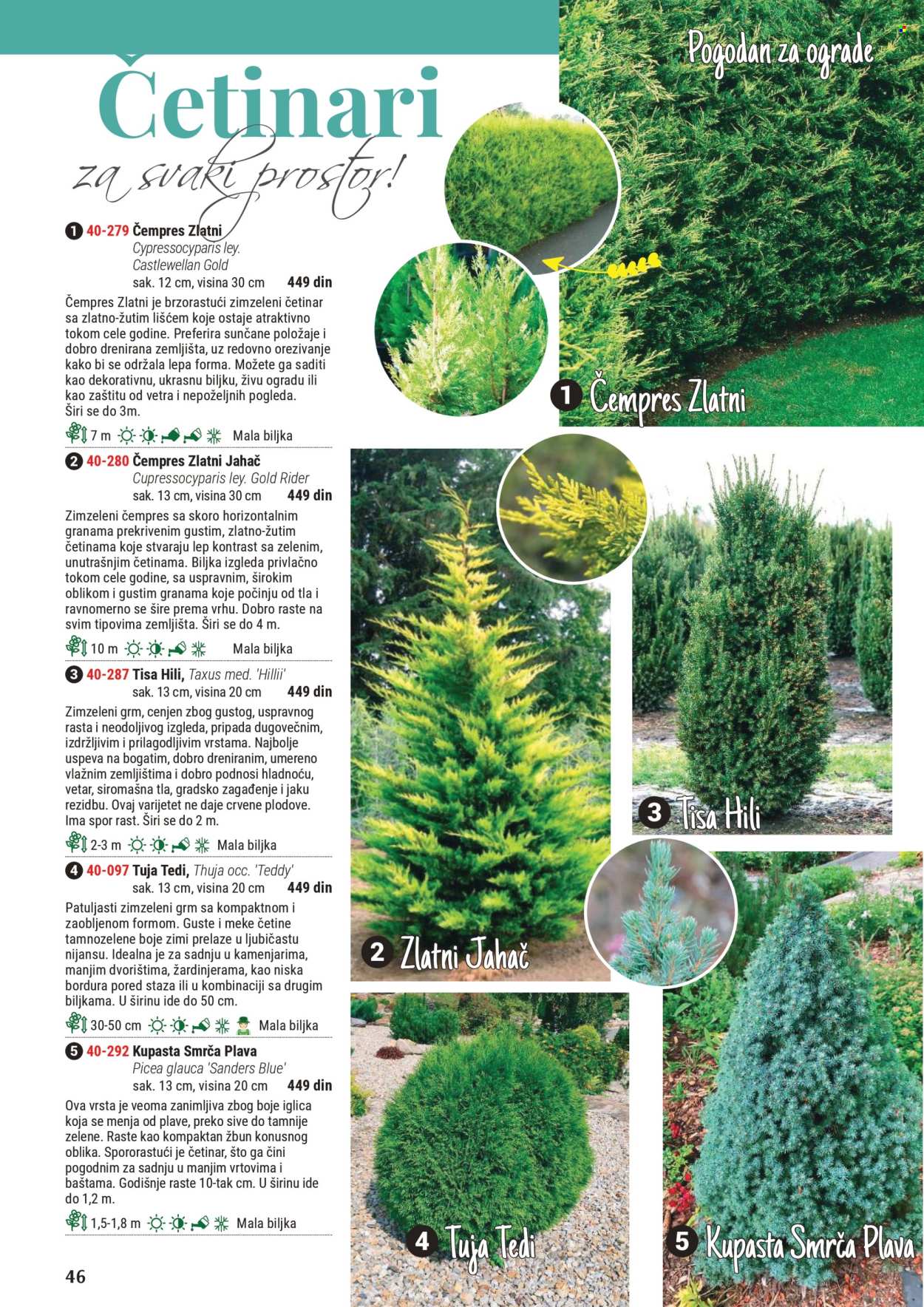 Flora Ekspres katalog. Stranica 46