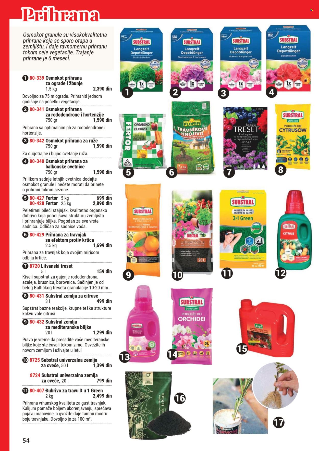 Flora Ekspres katalog. Stranica 54