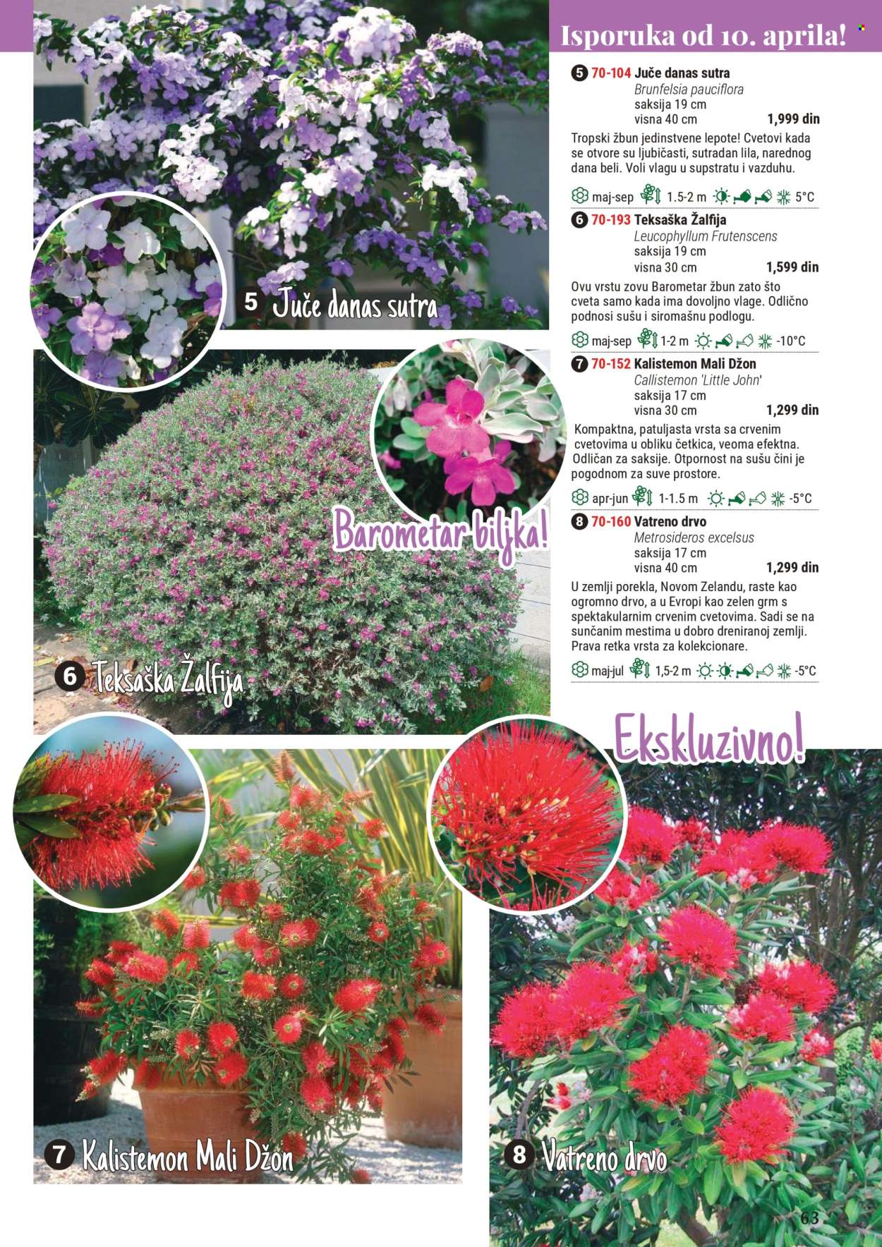 Flora Ekspres katalog. Stranica 63