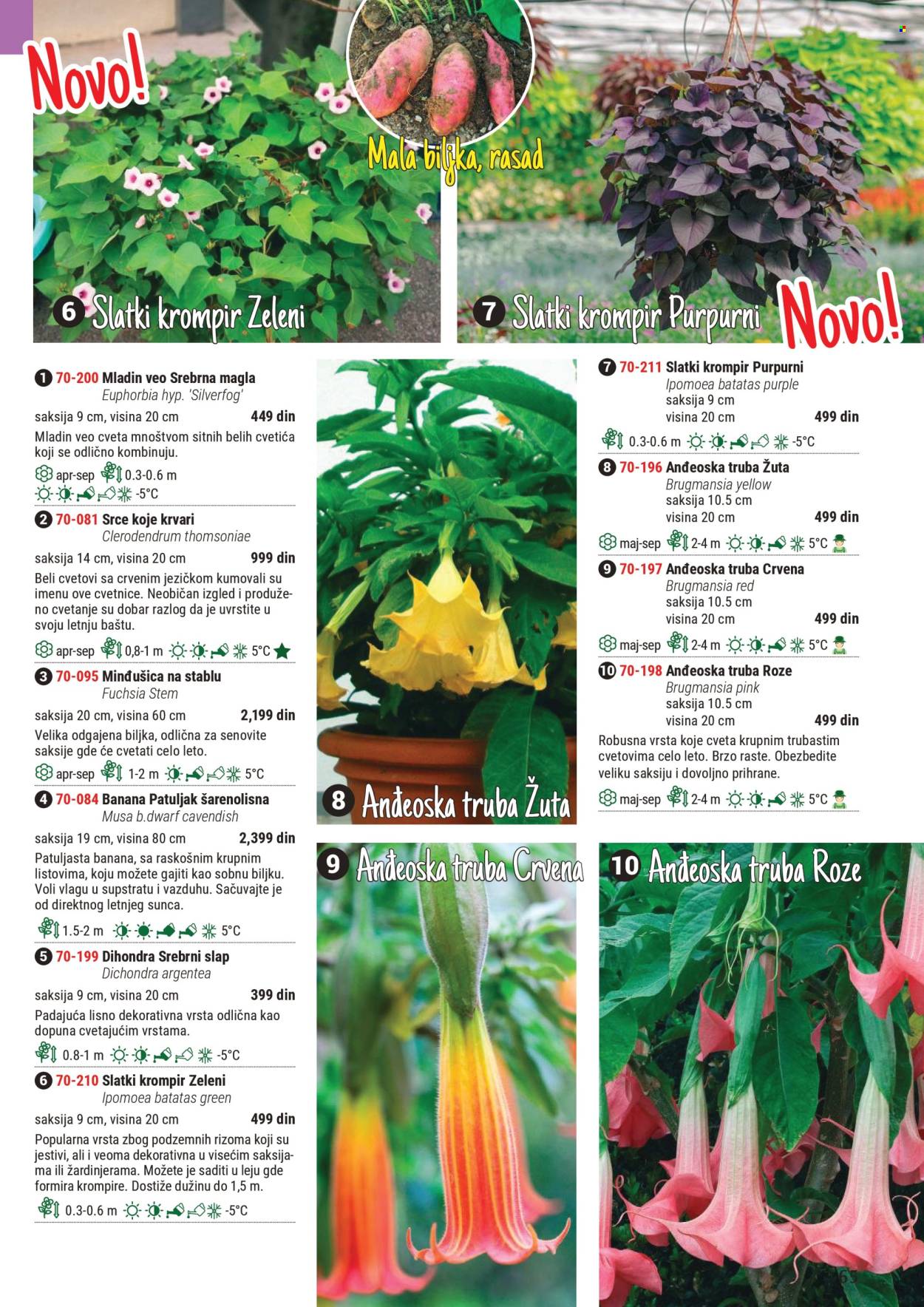 Flora Ekspres katalog. Stranica 65