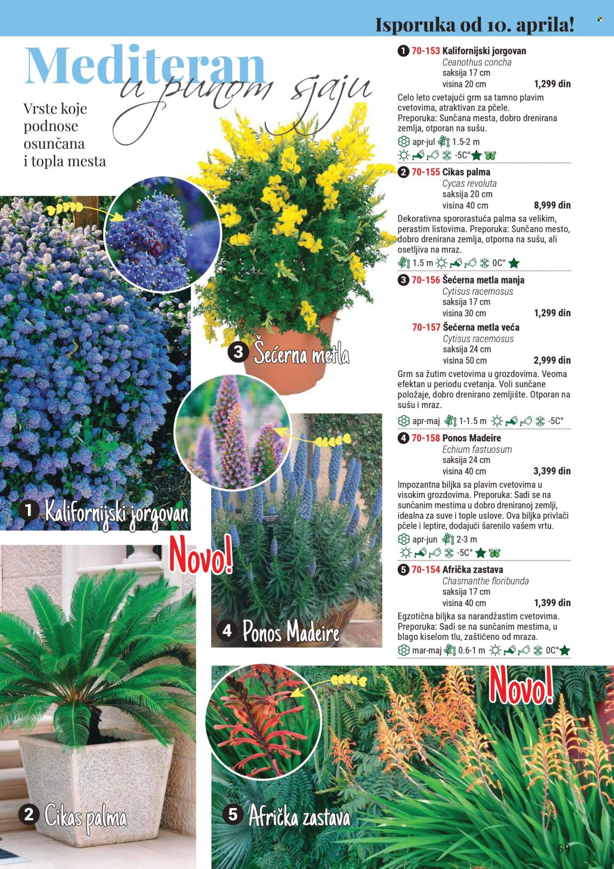 Flora Ekspres katalog. Stranica 69