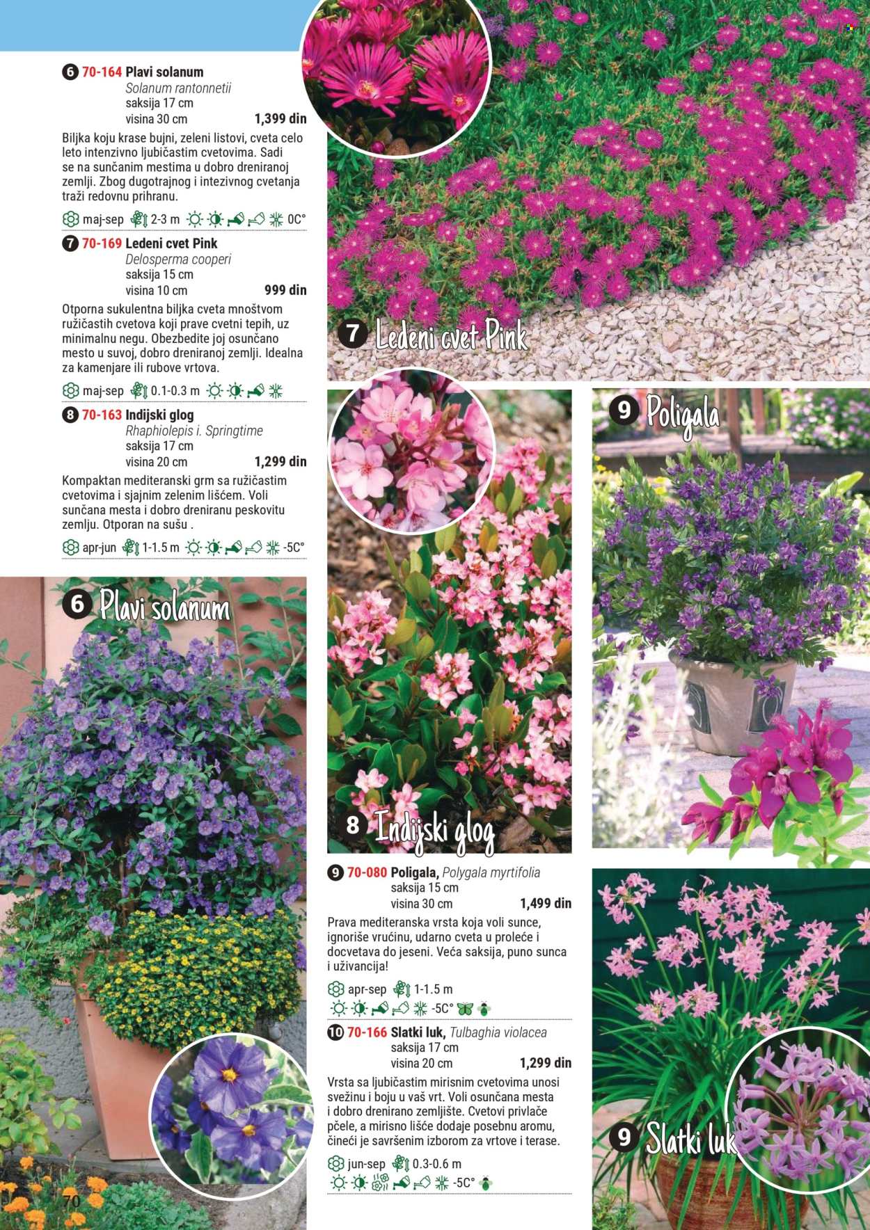 Flora Ekspres katalog. Stranica 70