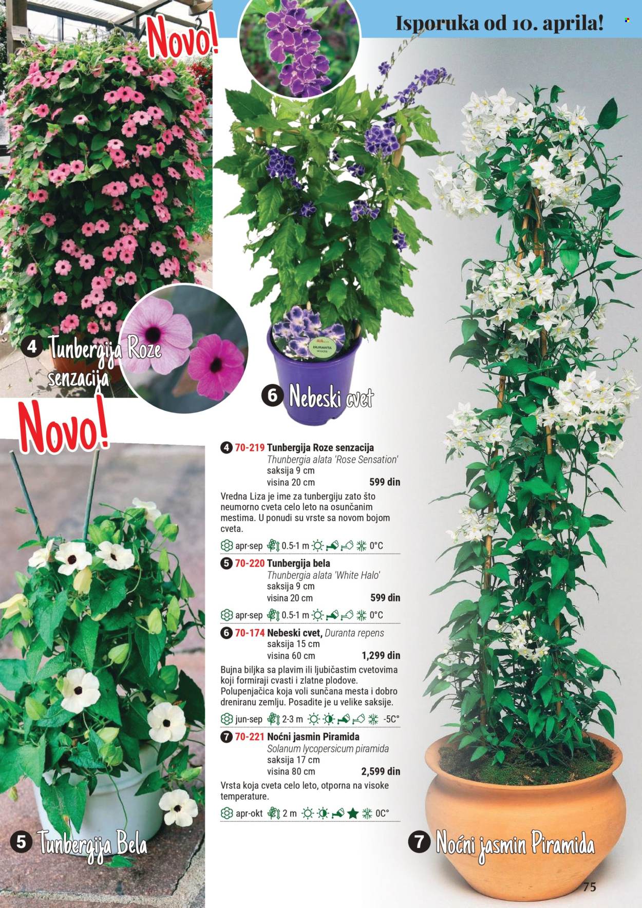 Flora Ekspres katalog. Stranica 75
