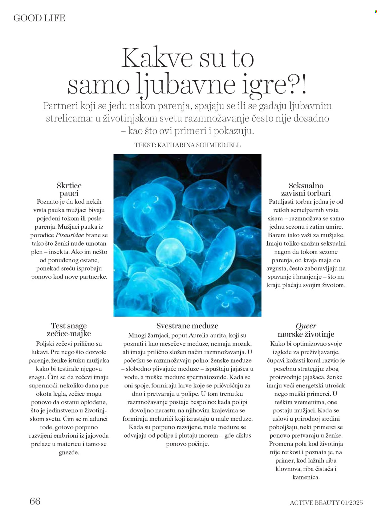 dm drogerie katalog. Stranica 66
