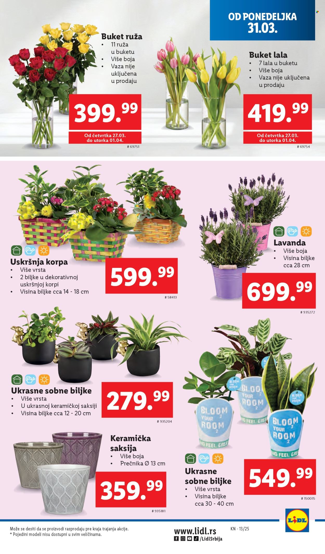 Lidl katalog - 27.03.2025 - 02.04.2025. Stranica 41