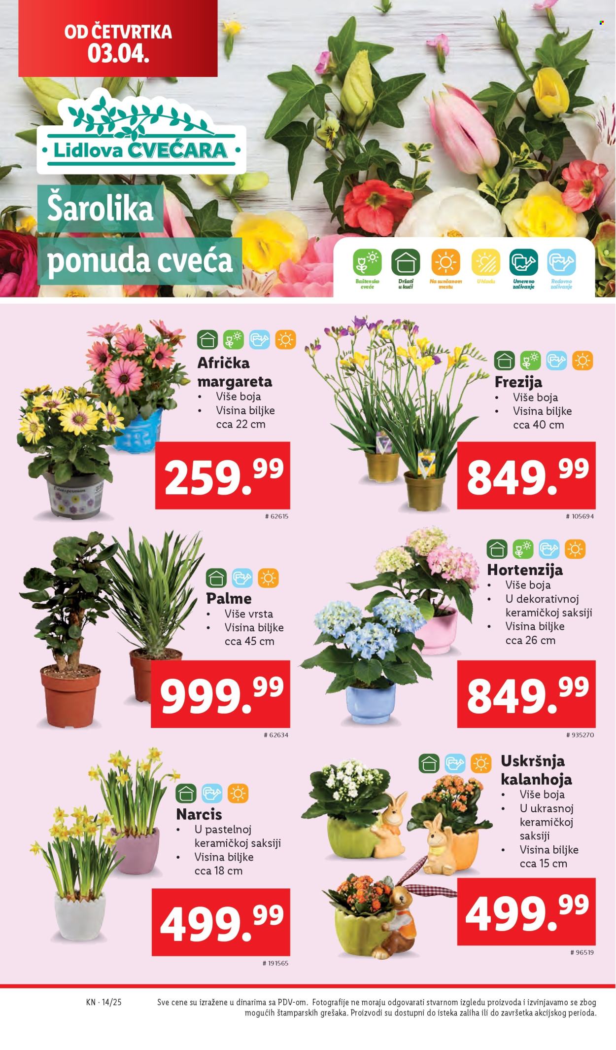 Lidl katalog - 03.04.2025 - 09.04.2025. Stranica 34