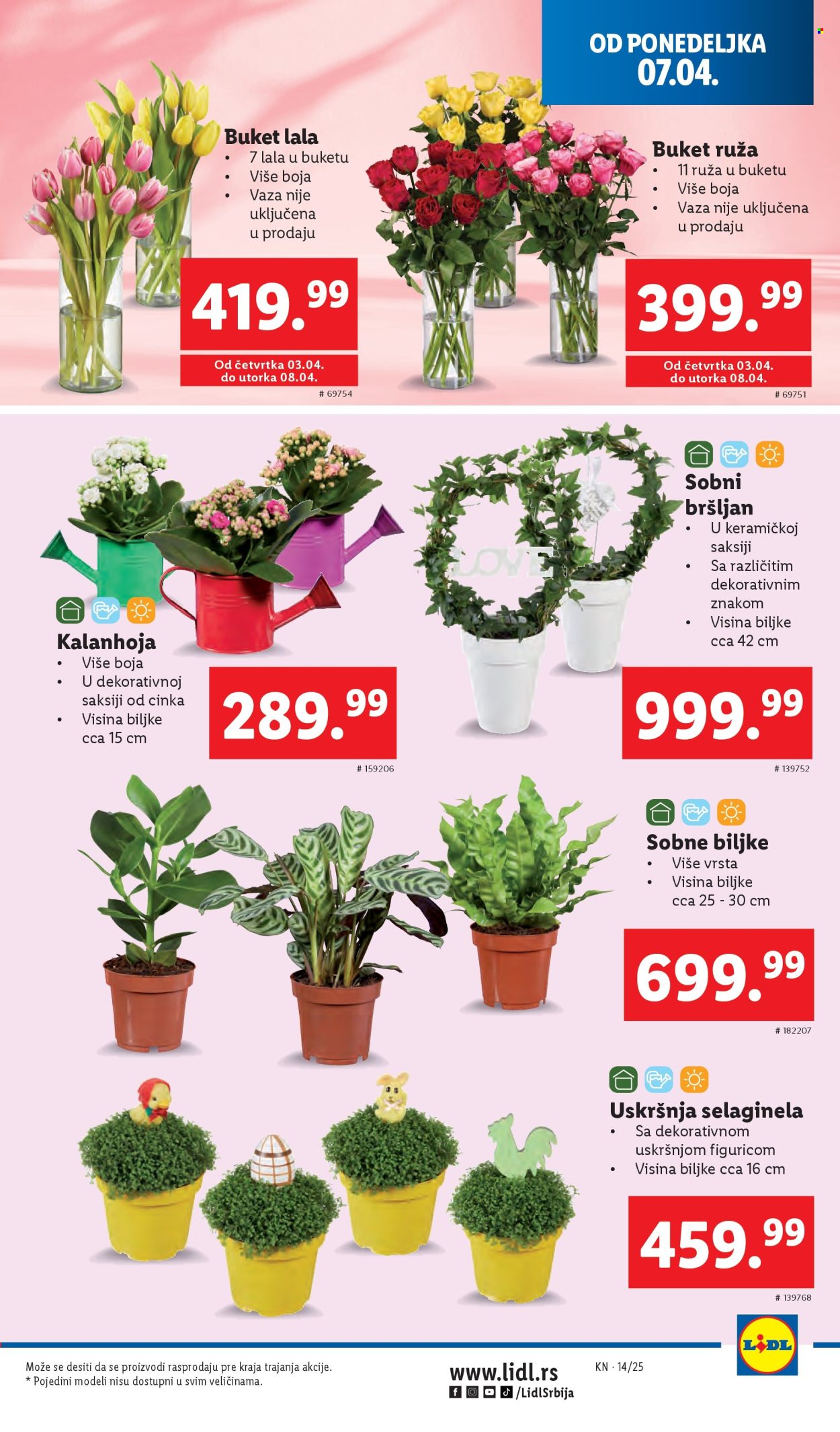 Lidl katalog - 03.04.2025 - 09.04.2025. Stranica 35