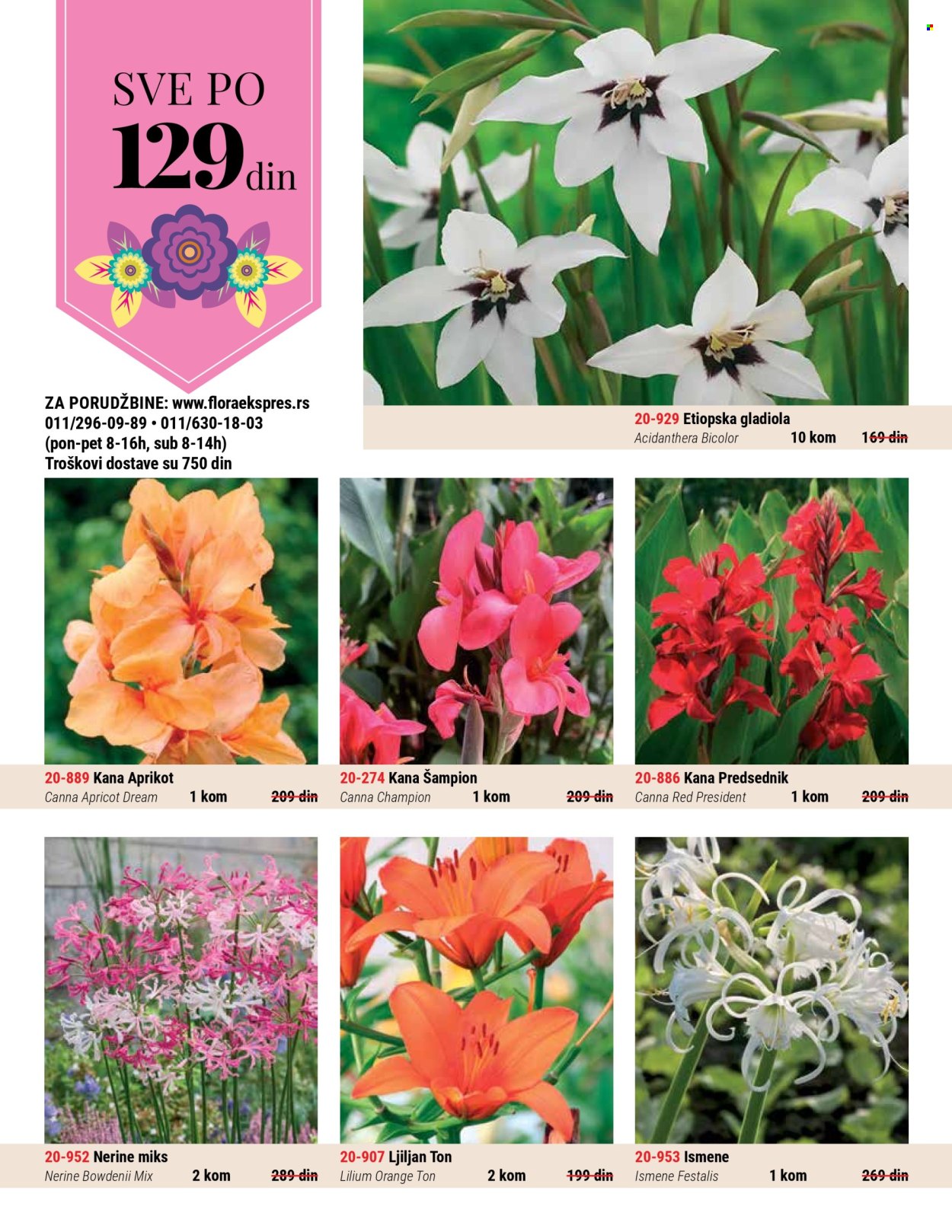 Flora Ekspres katalog. Stranica 2
