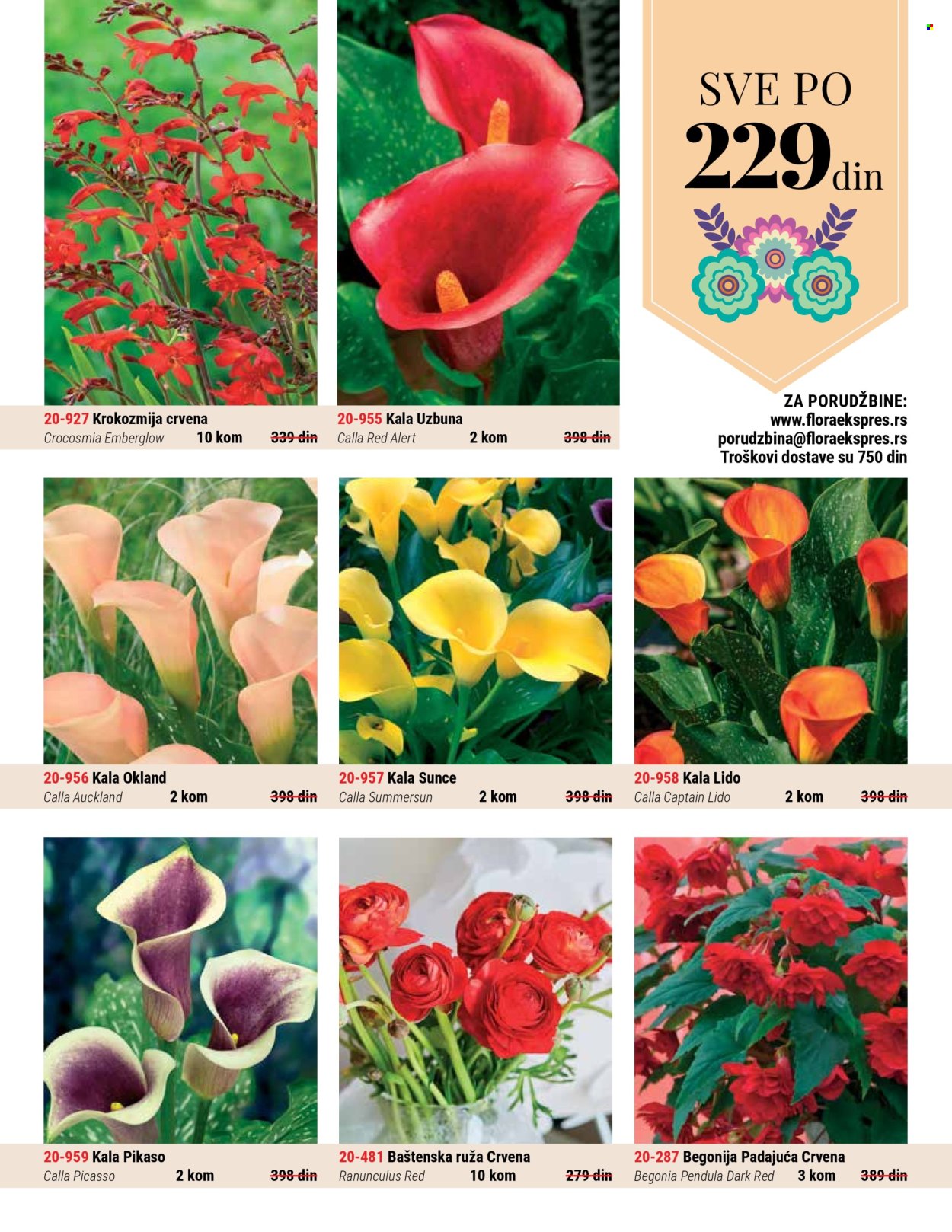 Flora Ekspres katalog. Stranica 3
