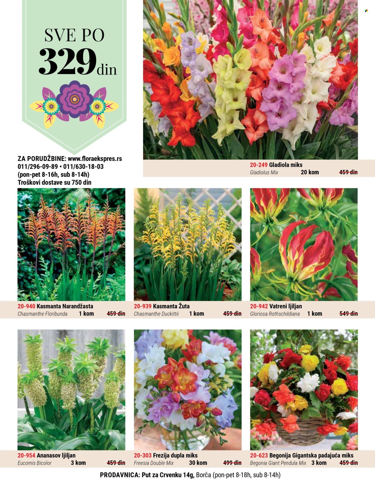 Flora Ekspres katalog. Stranica 4