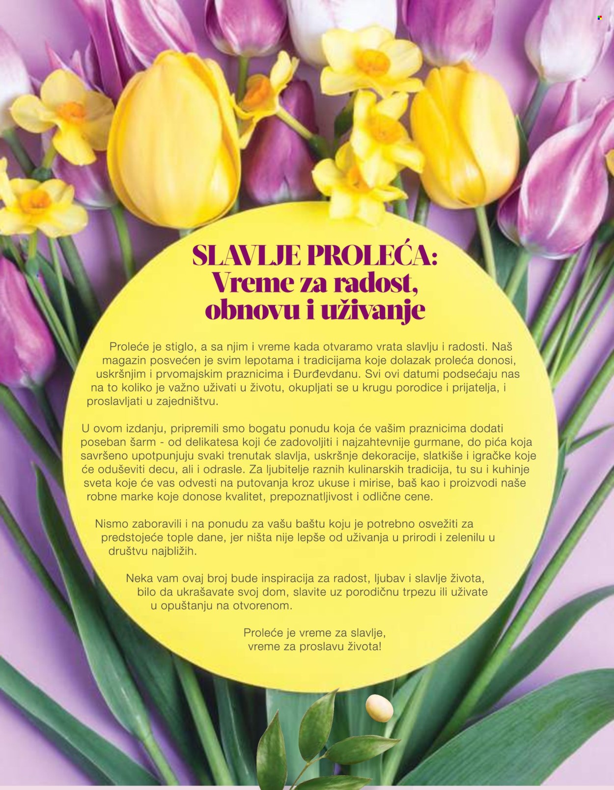 Roda katalog - 10.04.2025 - 07.05.2025. Stranica 3