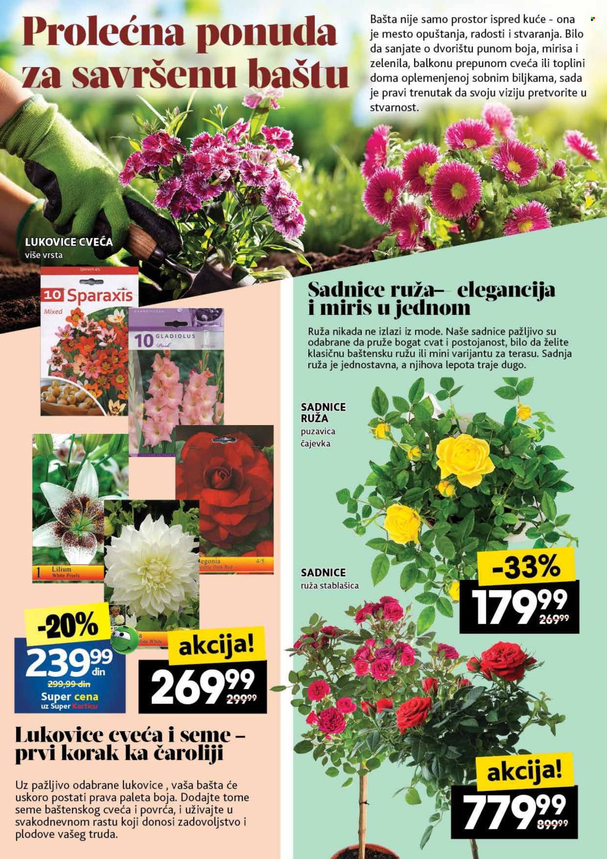 Roda katalog - 17.04.2025 - 23.04.2025. Stranica 46