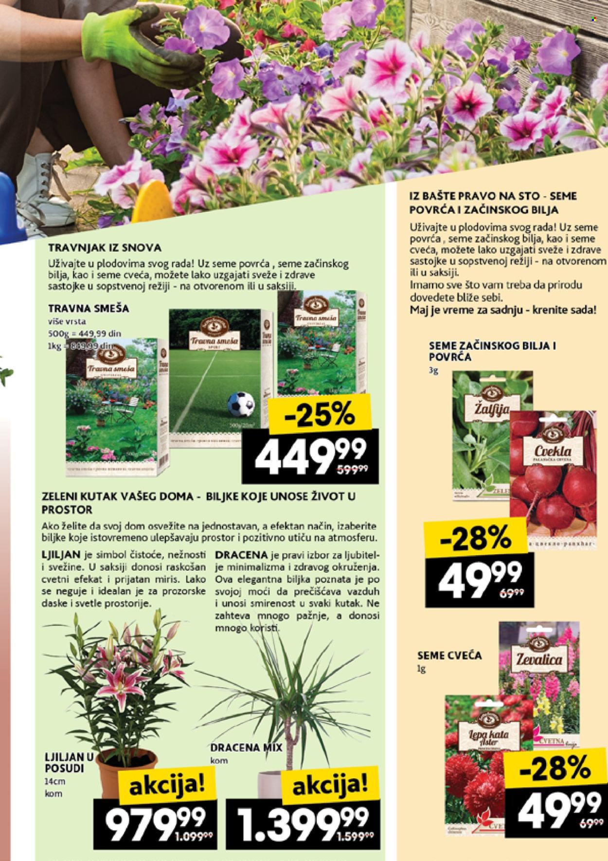 Idea katalog - 01.05.2025 - 07.05.2025. Stranica 47