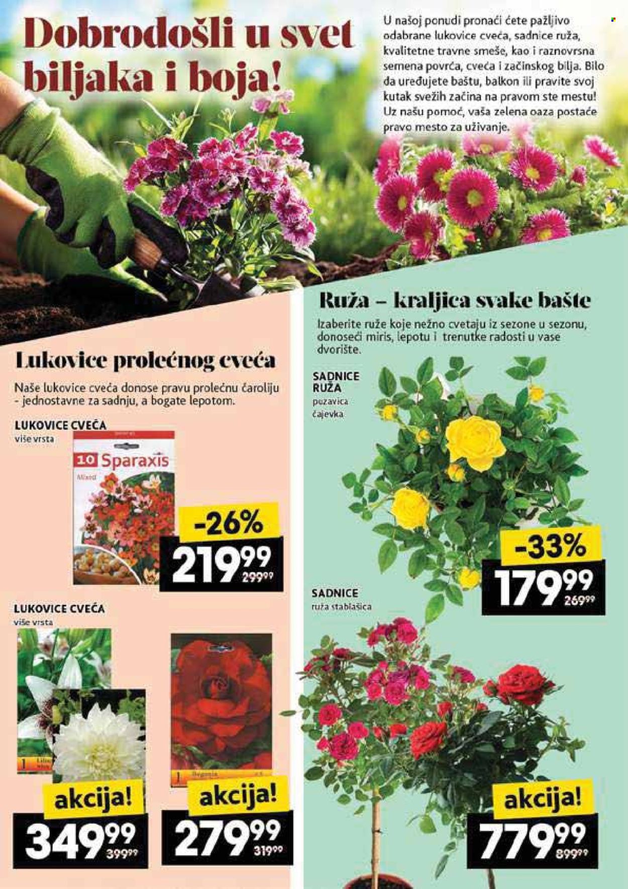 Roda katalog - 08.05.2025 - 14.05.2025. Stranica 46