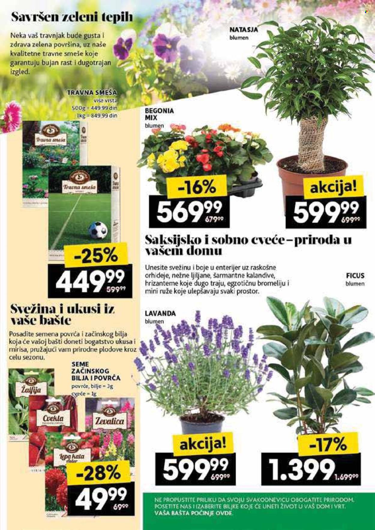 Roda katalog - 08.05.2025 - 14.05.2025. Stranica 47