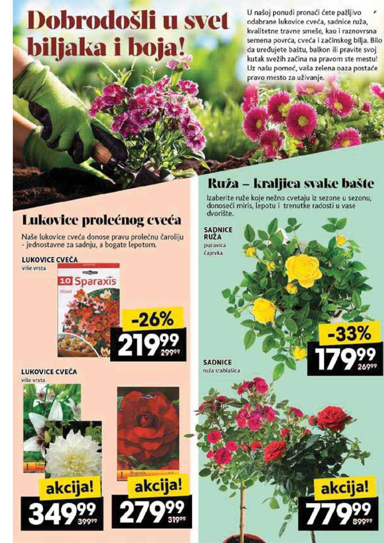 Idea katalog - 08.05.2025 - 14.05.2025. Stranica 46
