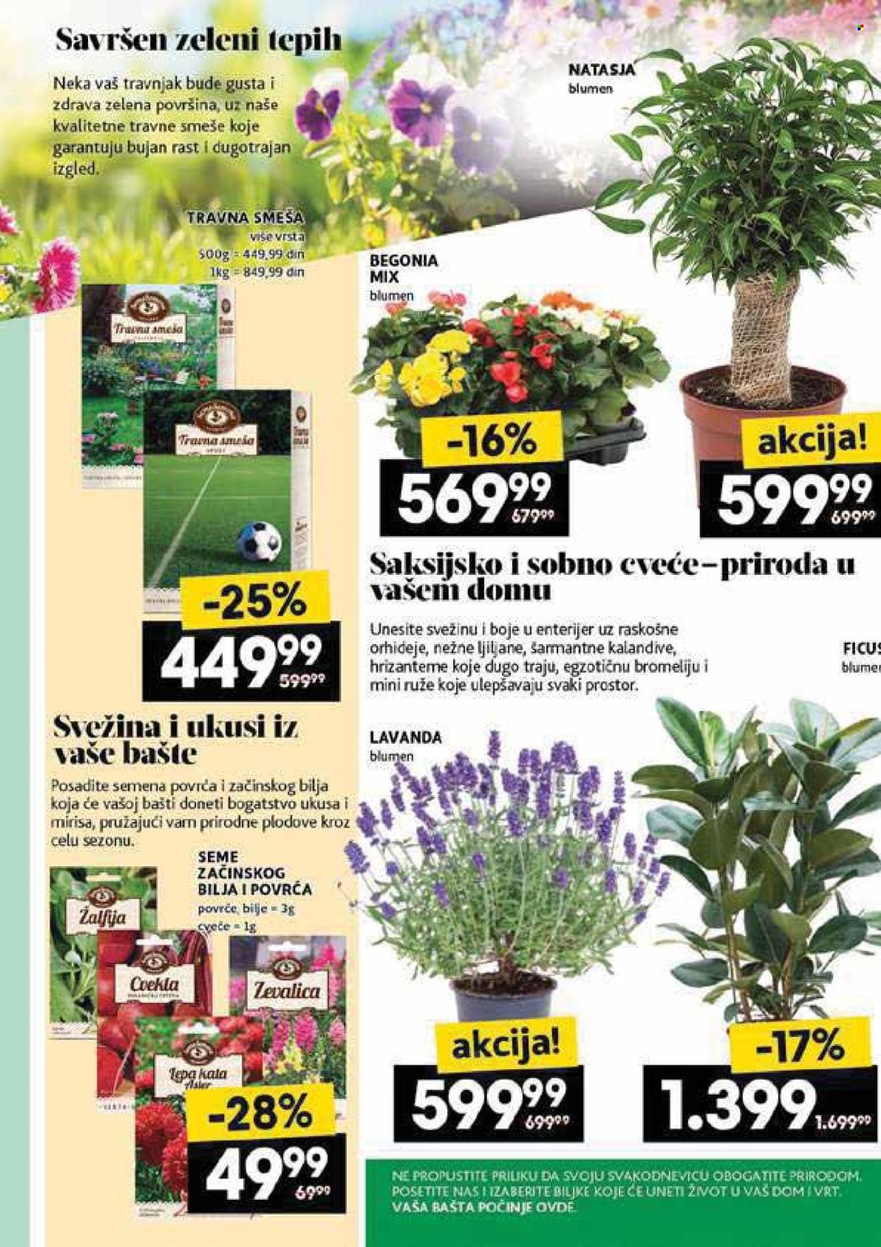 Mercator Centar katalog - 08.05.2025 - 14.05.2025. Stranica 47
