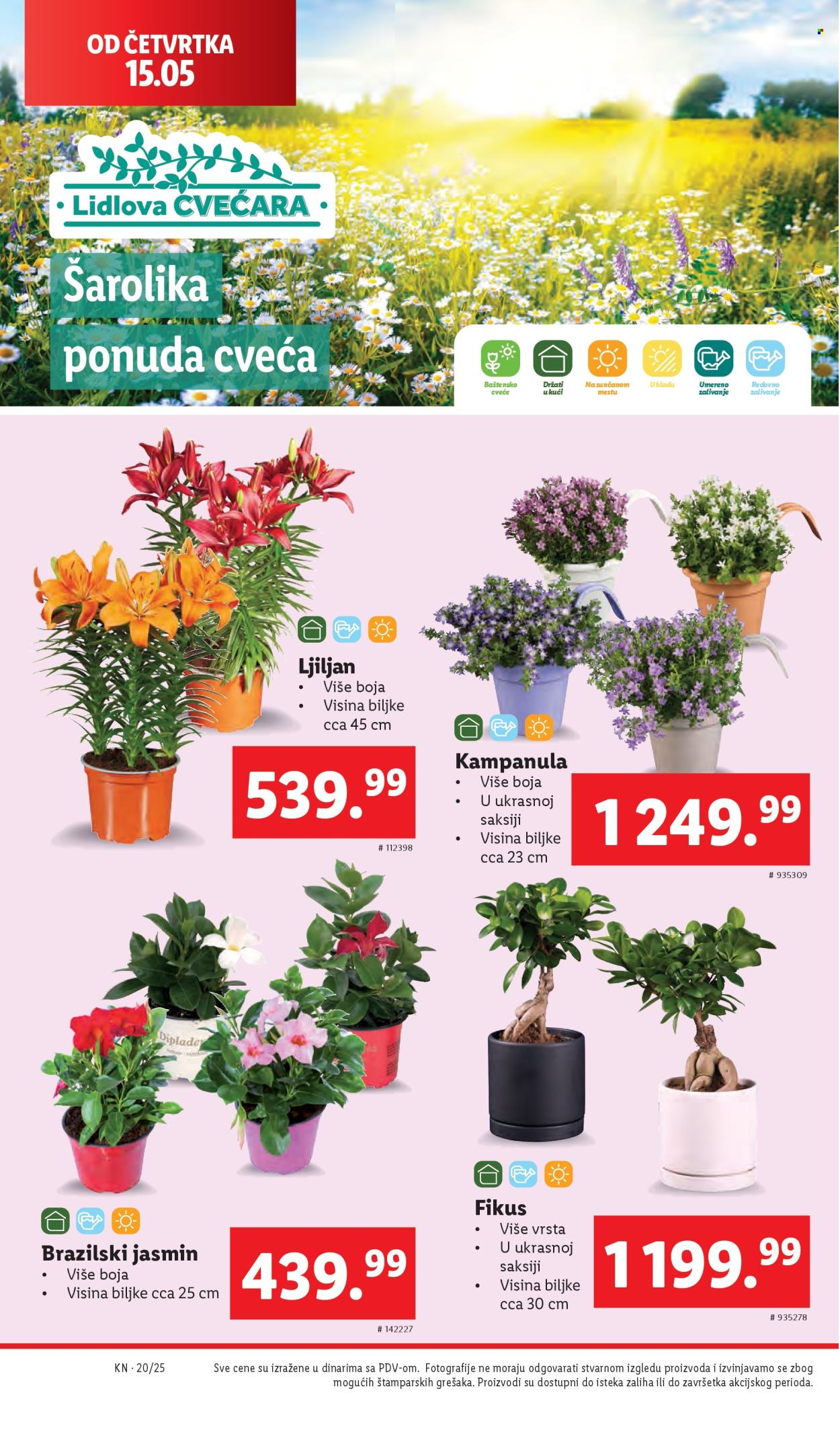 Lidl katalog - 15.05.2025 - 21.05.2025. Stranica 34