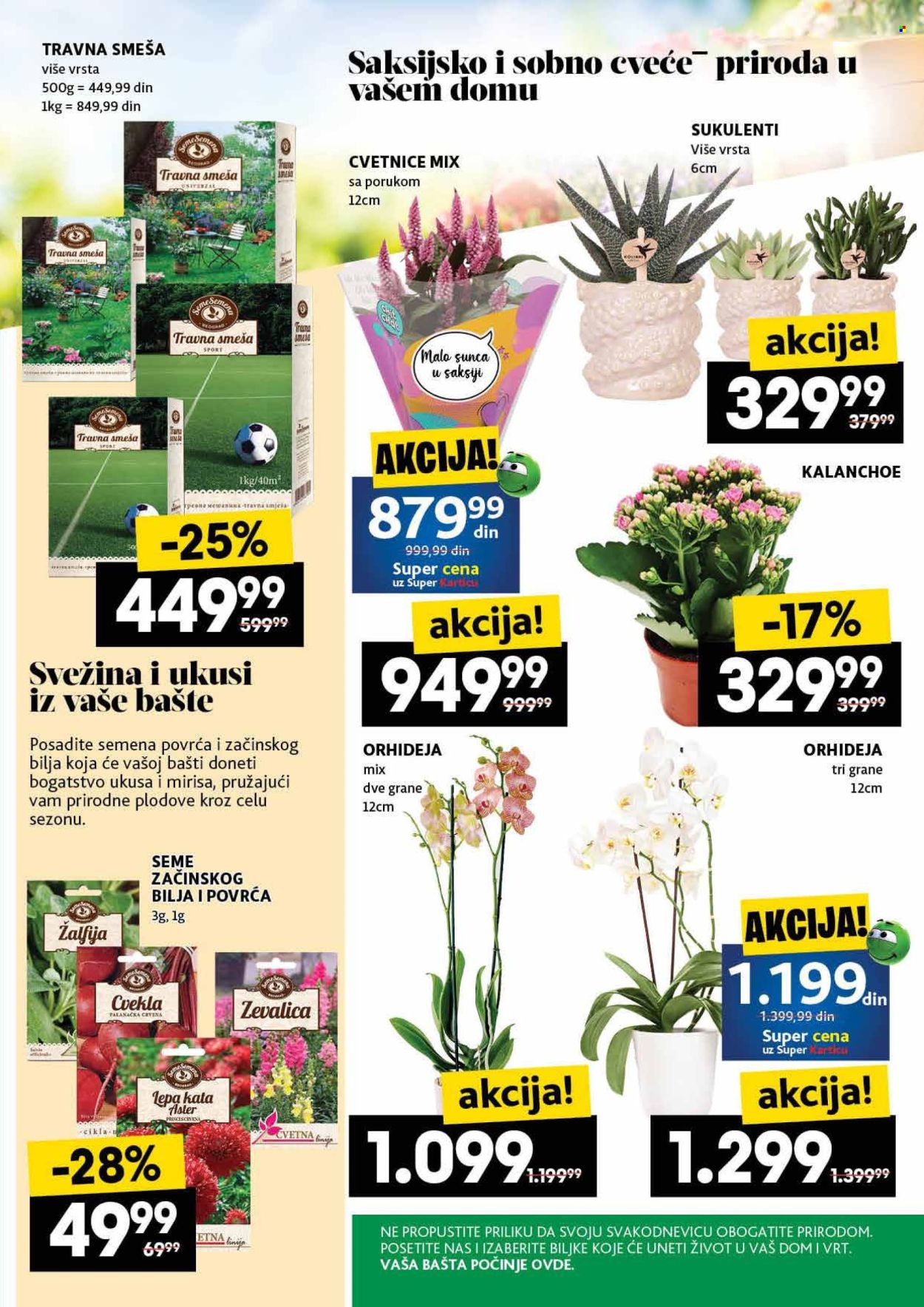 Roda katalog - 22.05.2025 - 28.05.2025. Stranica 47