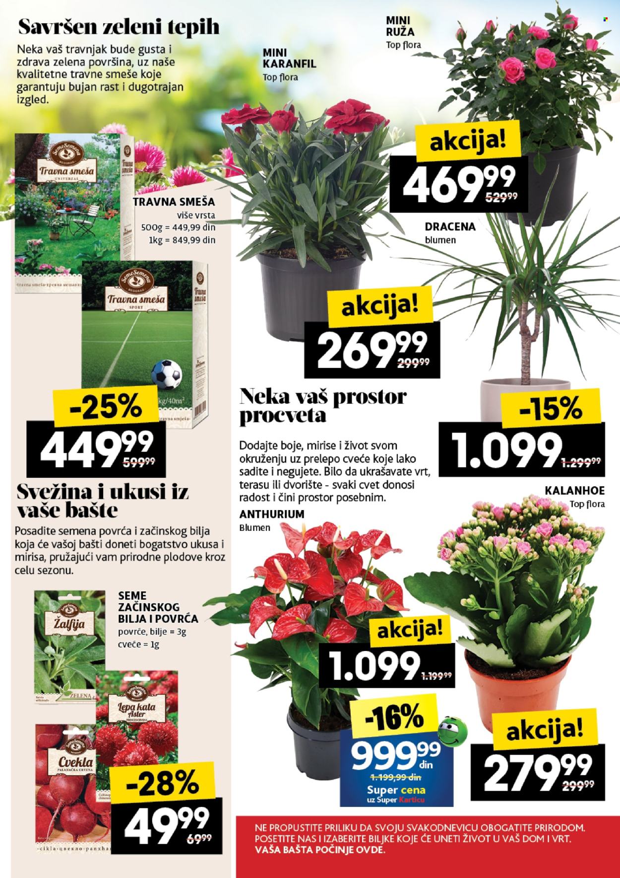 Idea katalog - 29.05.2025 - 04.06.2025. Stranica 49