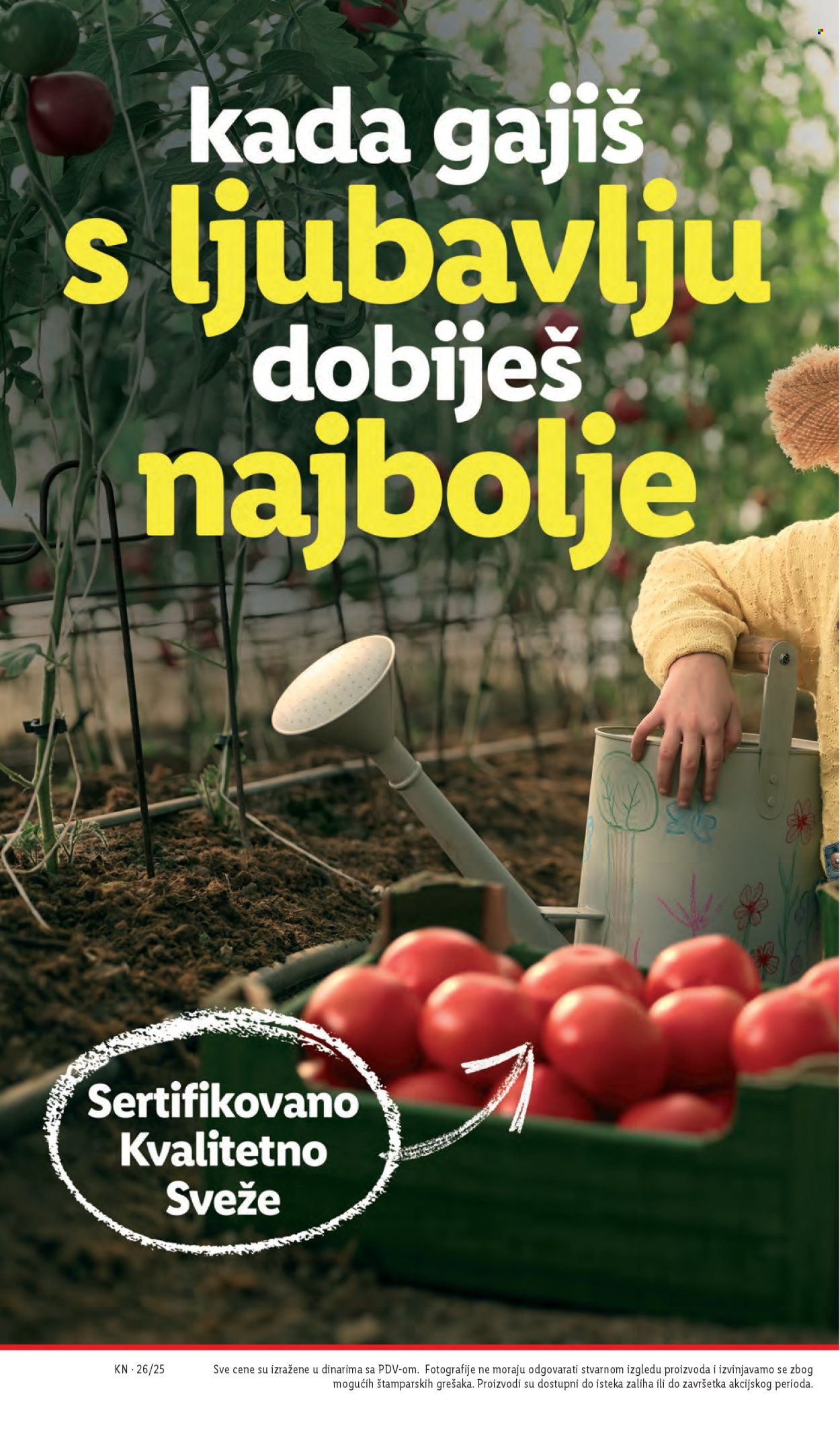 Lidl katalog - 26.06.2025 - 02.07.2025. Stranica 12