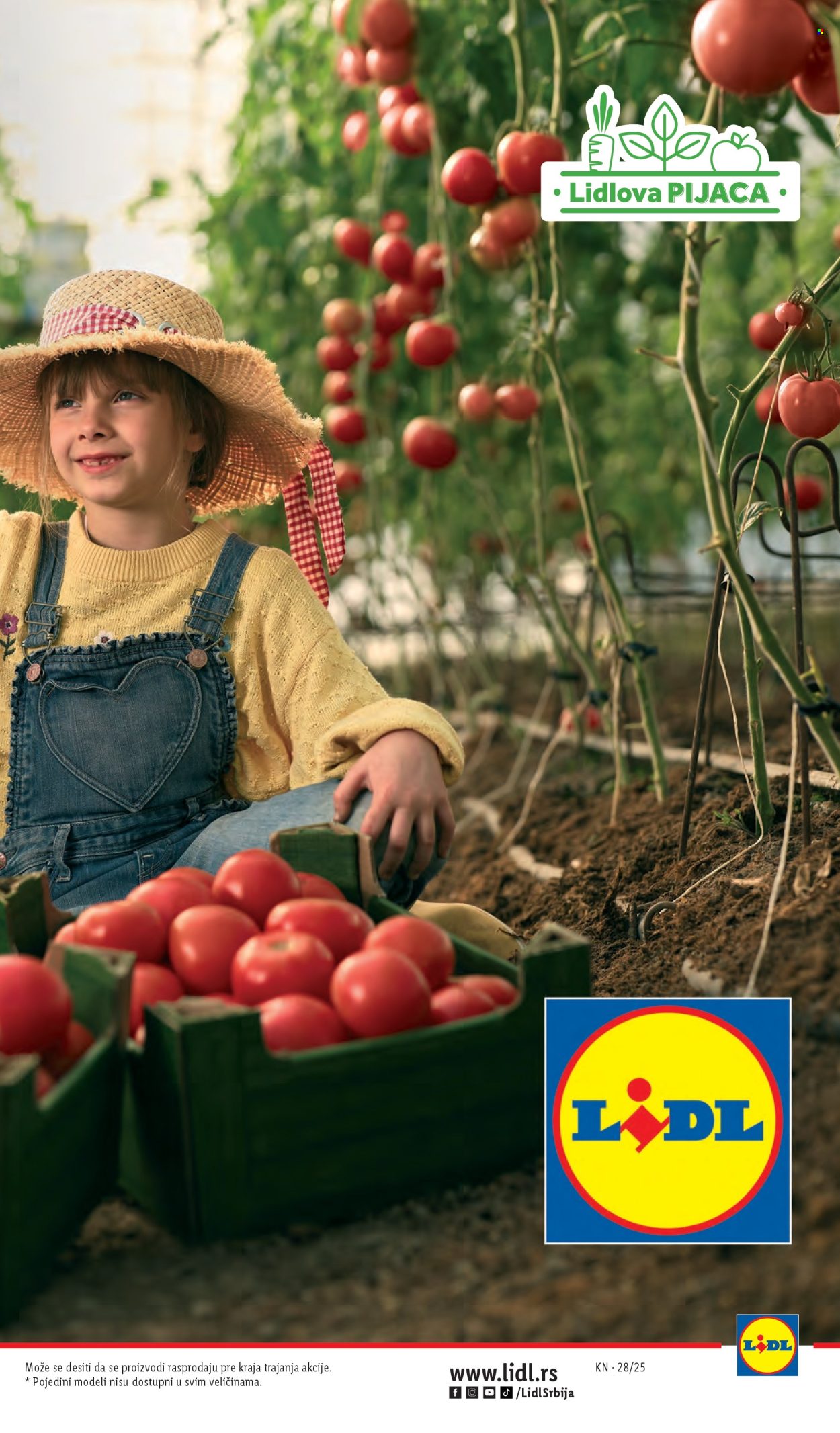 Lidl katalog - 10.07.2025 - 16.07.2025. Stranica 13