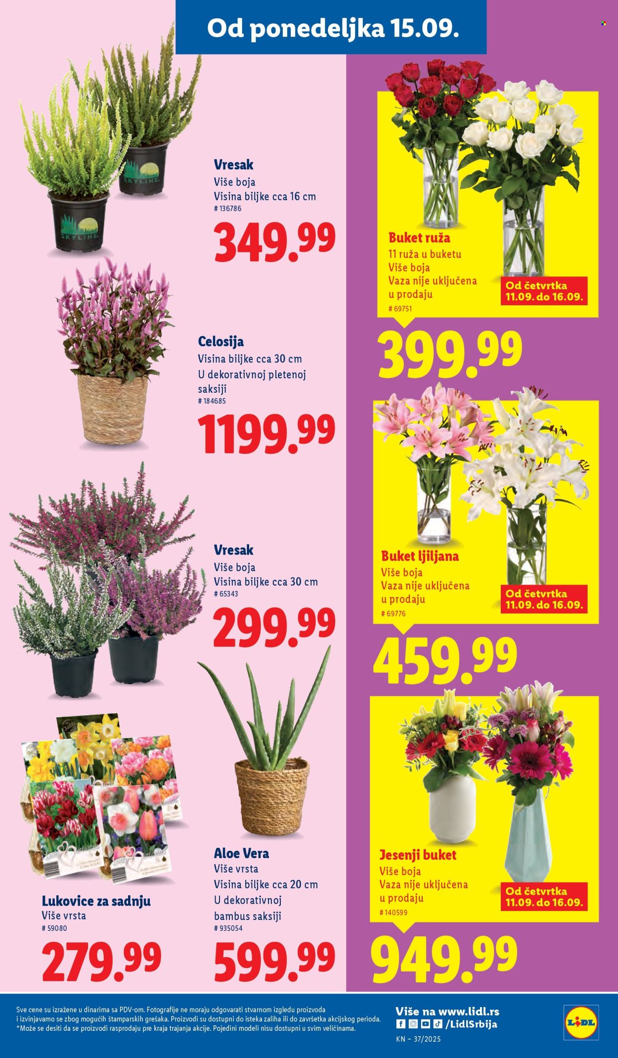 Lidl katalog - 11.09.2025 - 17.09.2025. Stranica 25