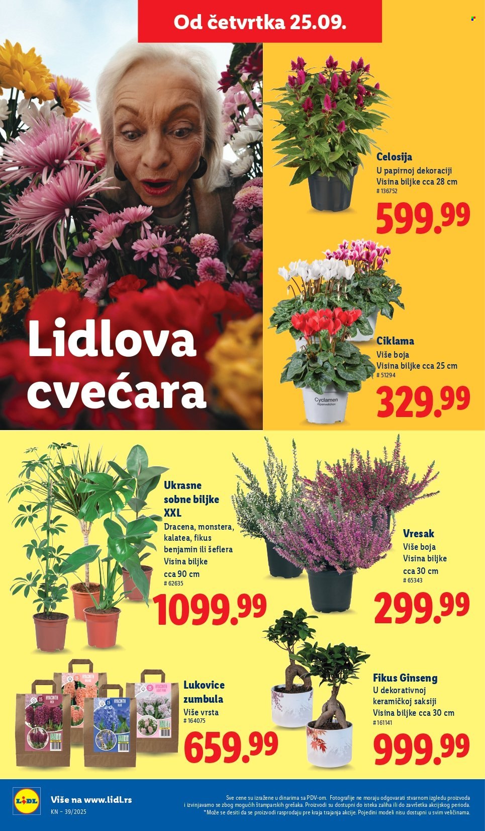 Lidl katalog - 25.09.2025 - 01.10.2025. Stranica 22