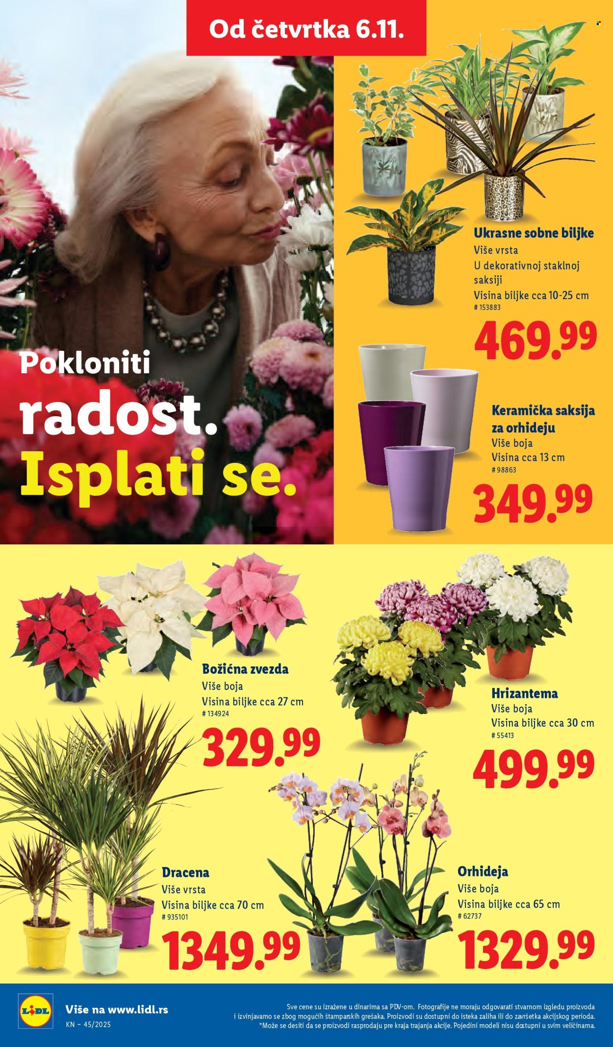 Lidl katalog - 06.11.2025 - 12.11.2025. Stranica 42