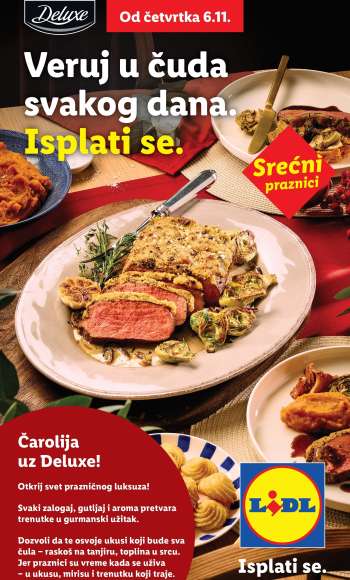 Lidl katalog.