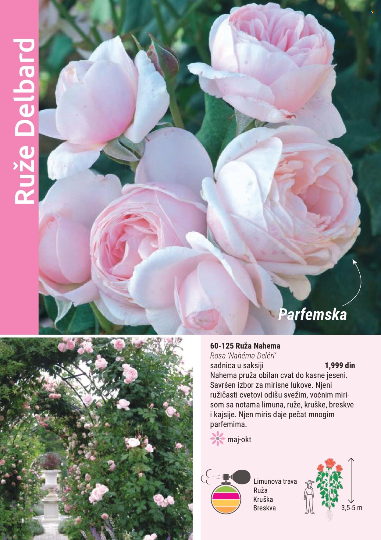 Flora Ekspres katalog. Stranica 4